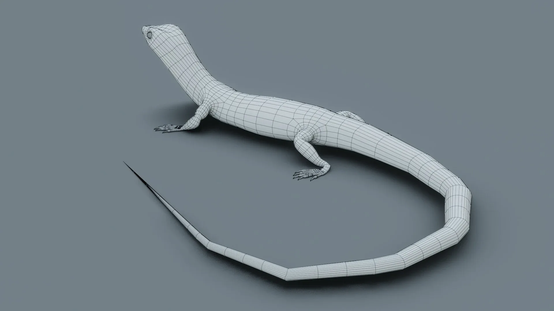 Lizard - Low Poly - Game Ready - PBR - Rigged - PBR