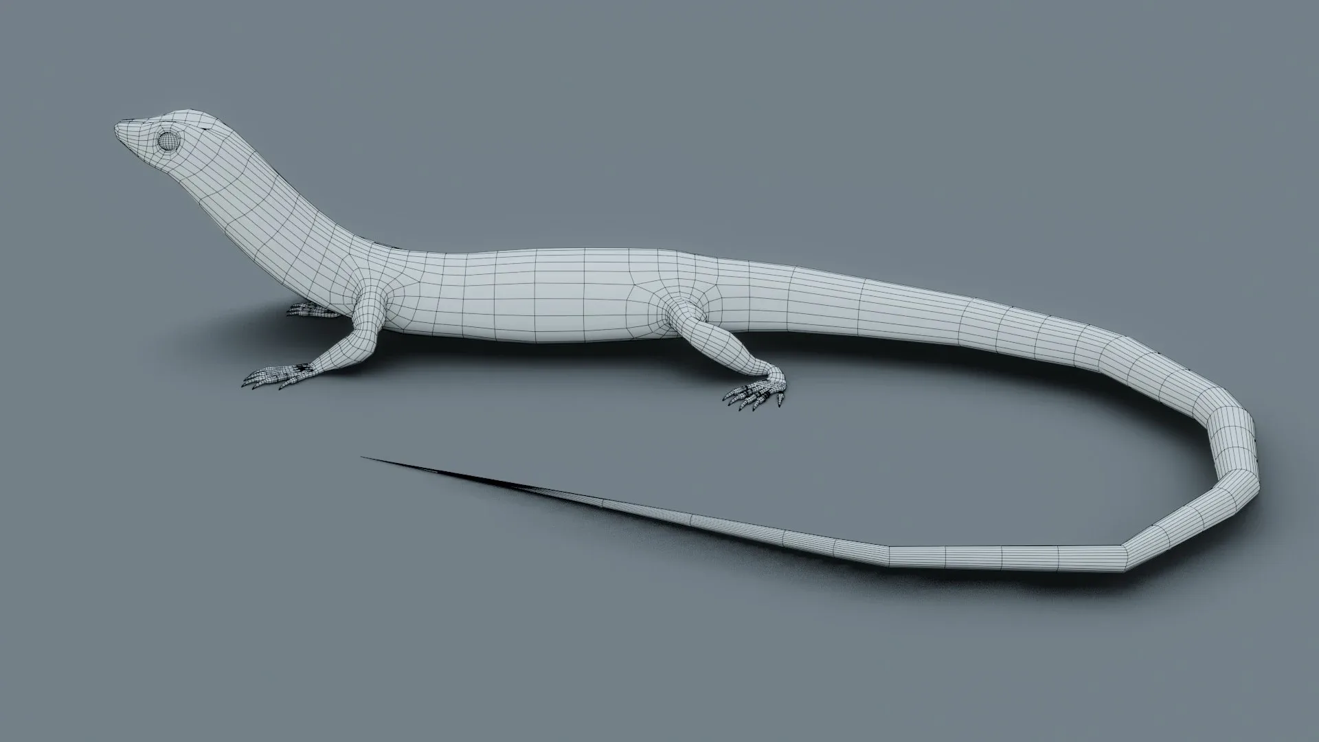 Lizard - Low Poly - Game Ready - PBR - Rigged - PBR