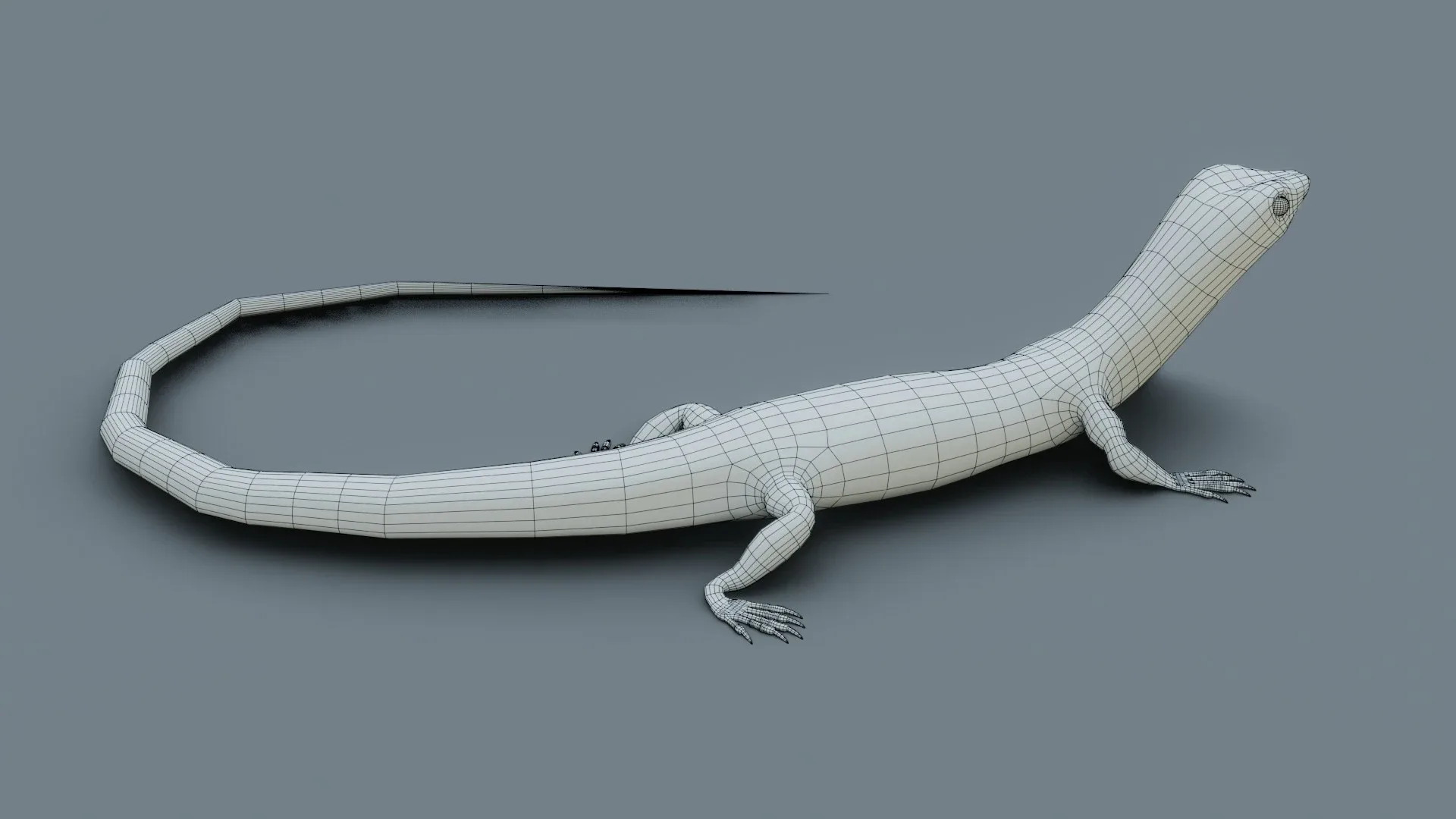 Lizard - Low Poly - Game Ready - PBR - Rigged - PBR