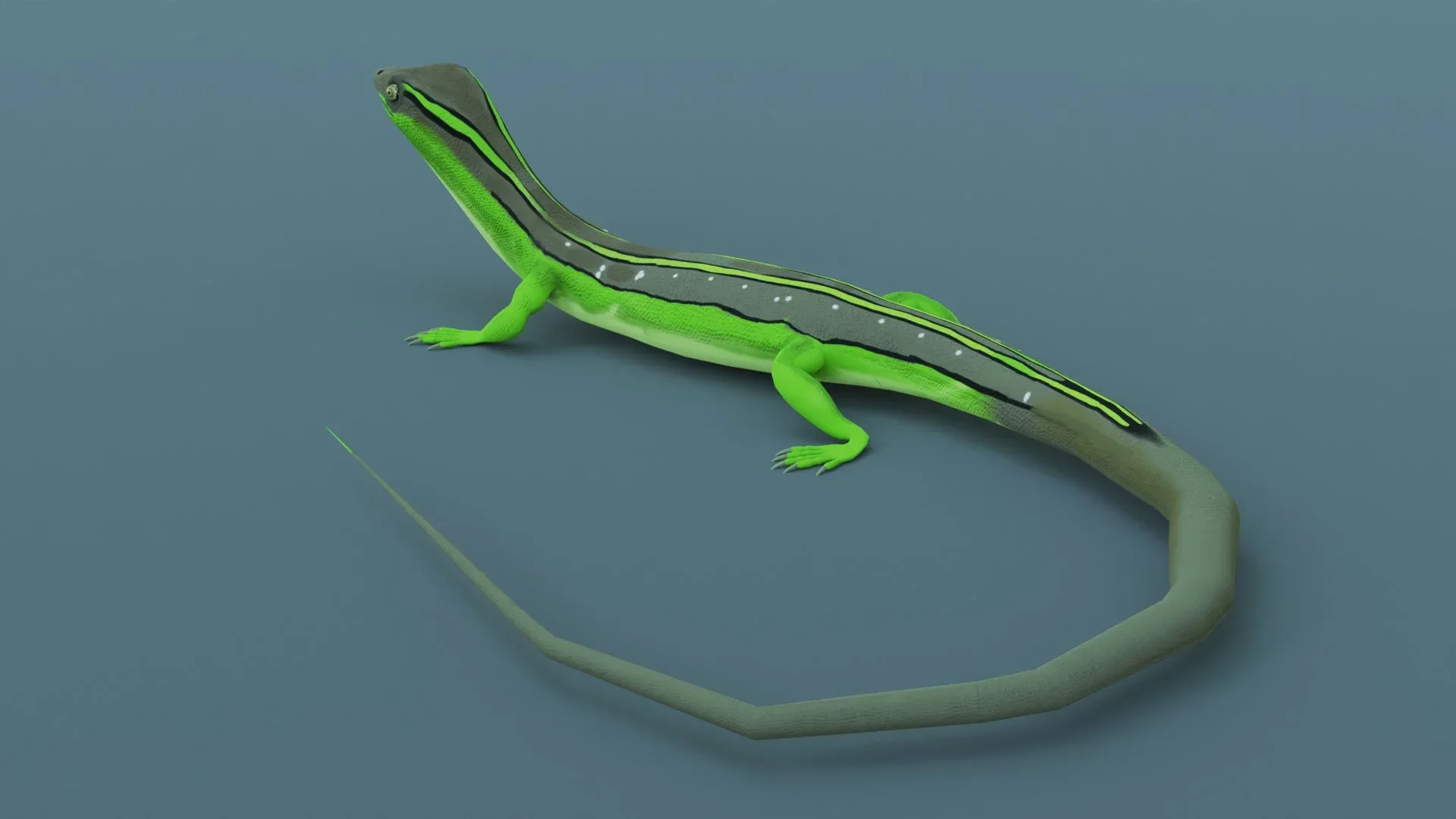 Lizard - Low Poly - Game Ready - PBR - Rigged - PBR