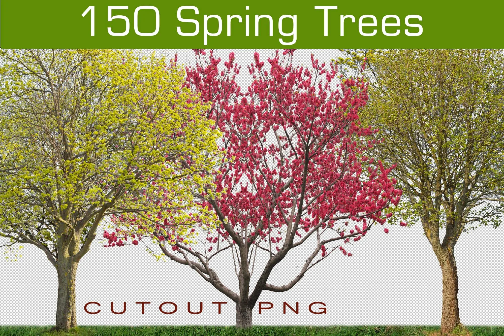 150 Realistic Forest Trees Clipart, Cut Out Spring Overlays