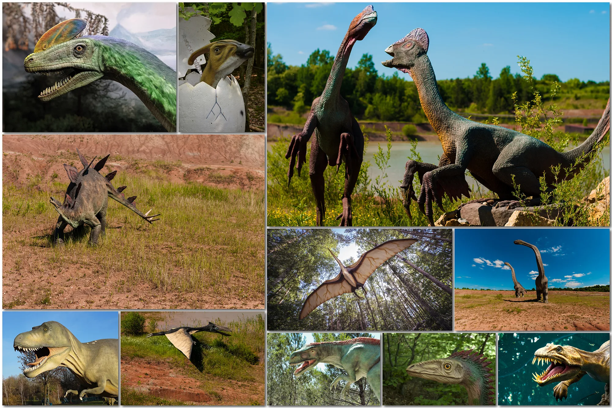 100 Dinosaur Backdrop T-Rex, Prehistoric Tyrannosaurus, Jurassic World Animal