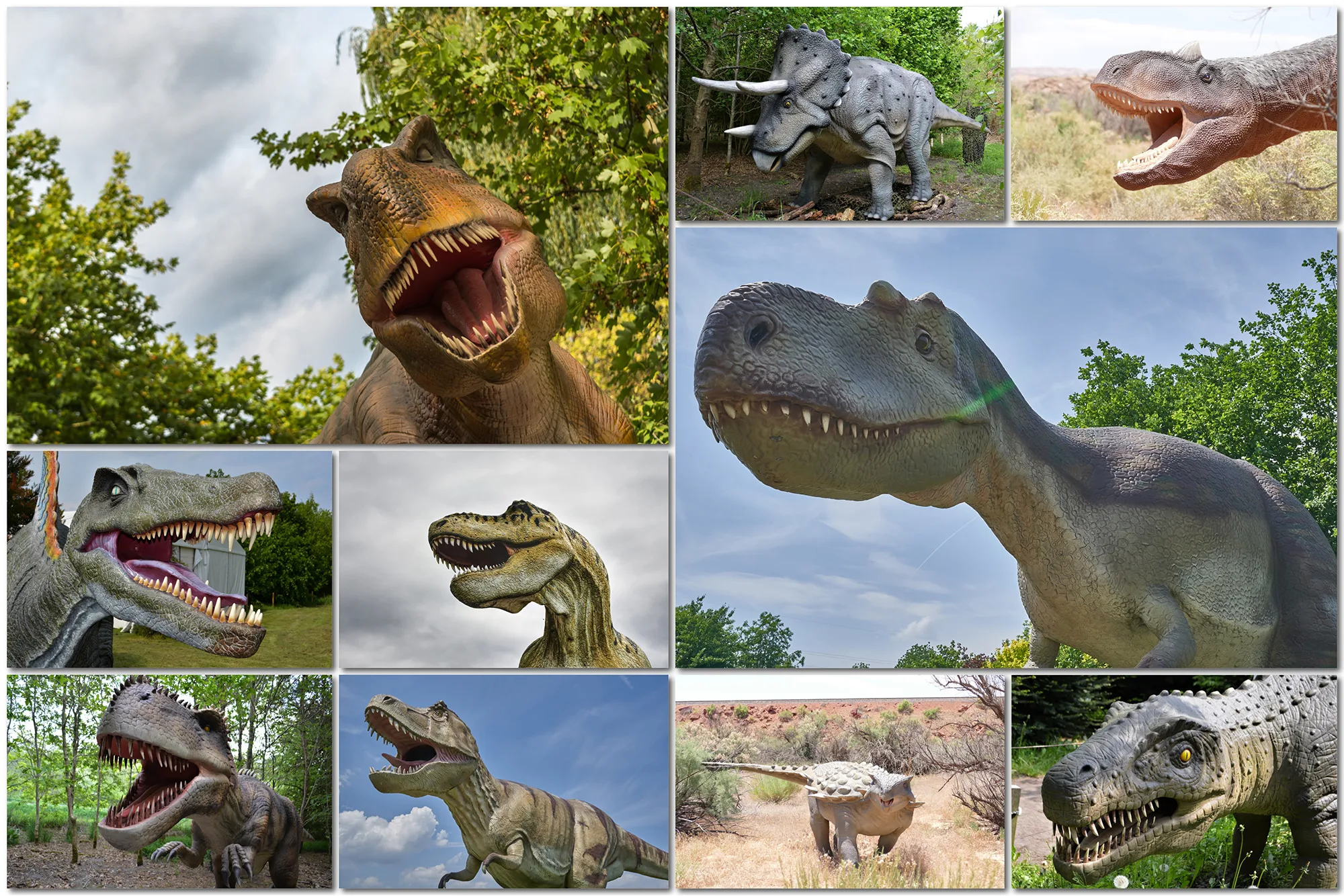 100 Dinosaur Backdrop T-Rex, Prehistoric Tyrannosaurus, Jurassic World Animal