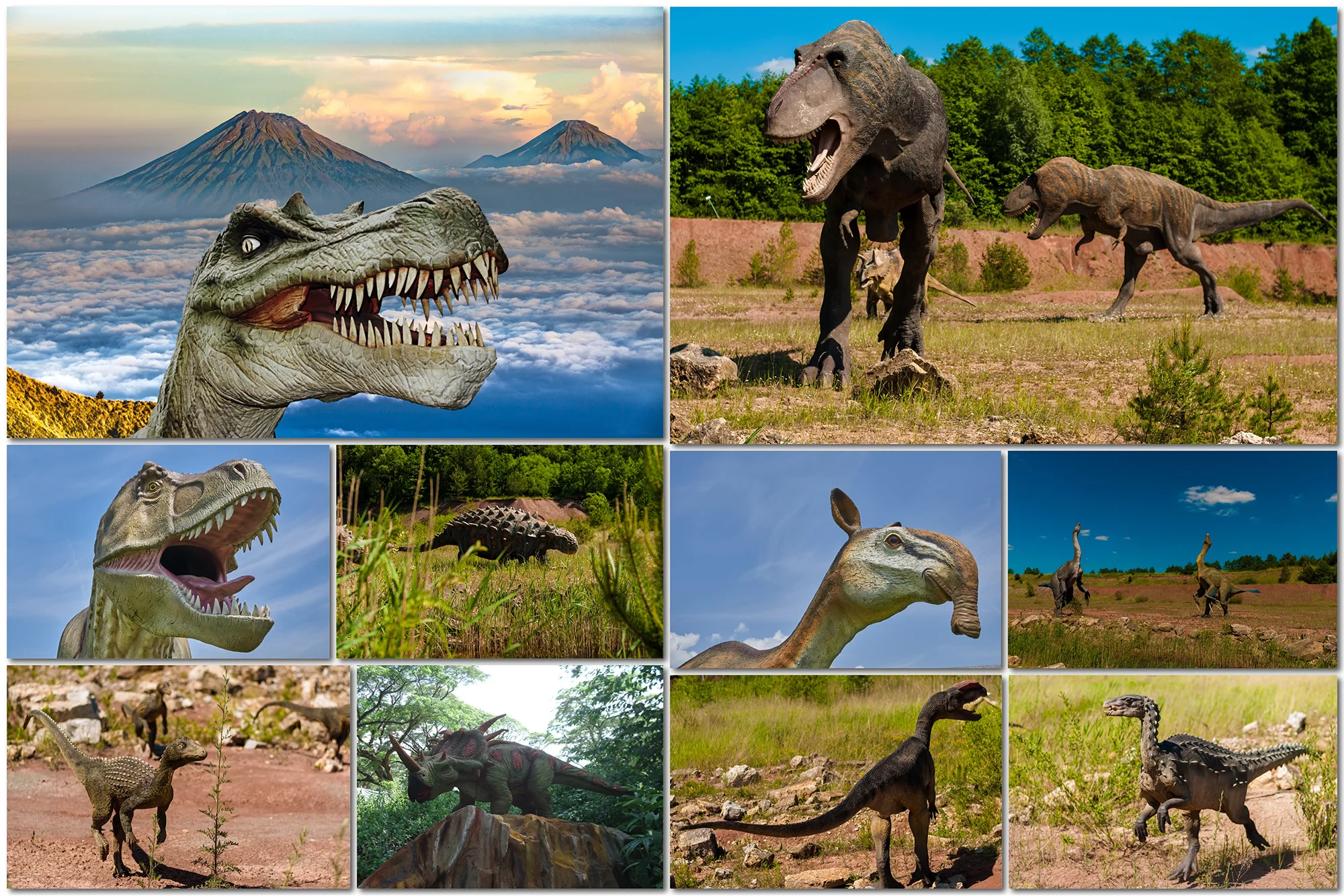 100 Dinosaur Backdrop T-Rex, Prehistoric Tyrannosaurus, Jurassic World Animal