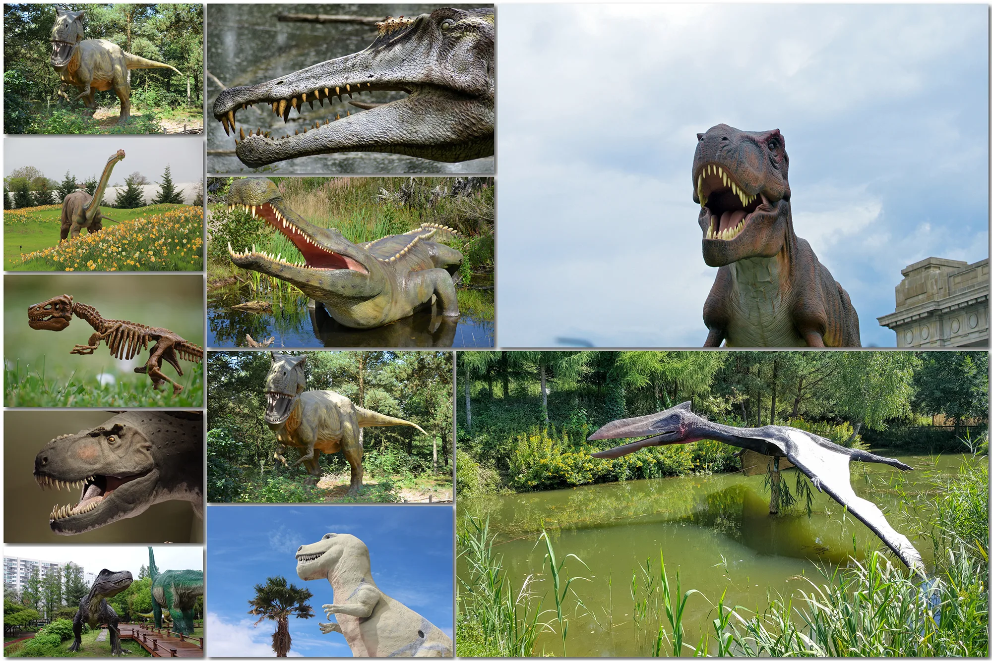 100 Dinosaur Backdrop T-Rex, Prehistoric Tyrannosaurus, Jurassic World Animal