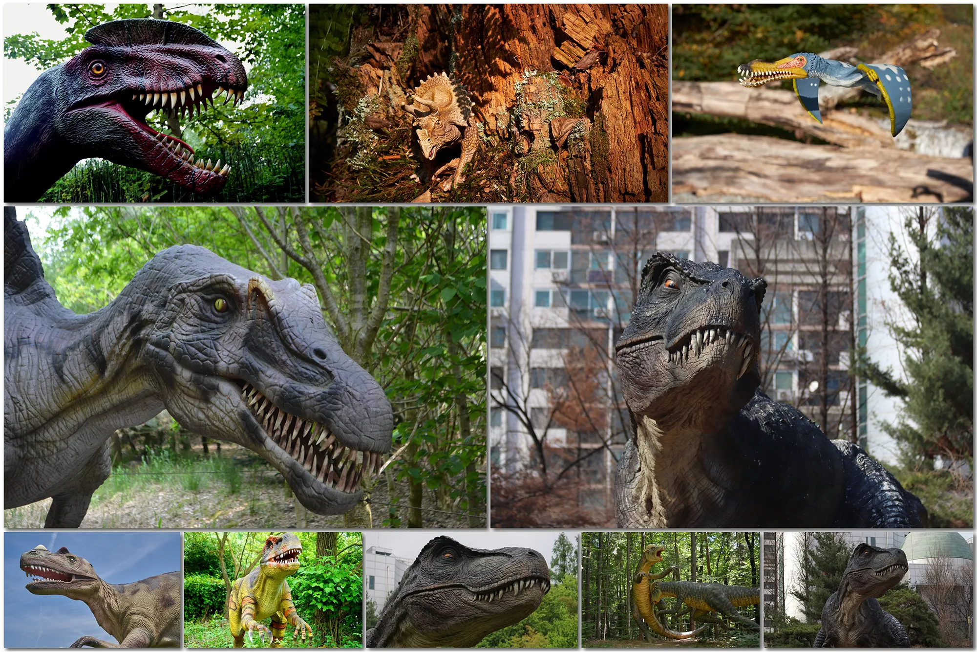 100 Dinosaur Backdrop T-Rex, Prehistoric Tyrannosaurus, Jurassic World Animal