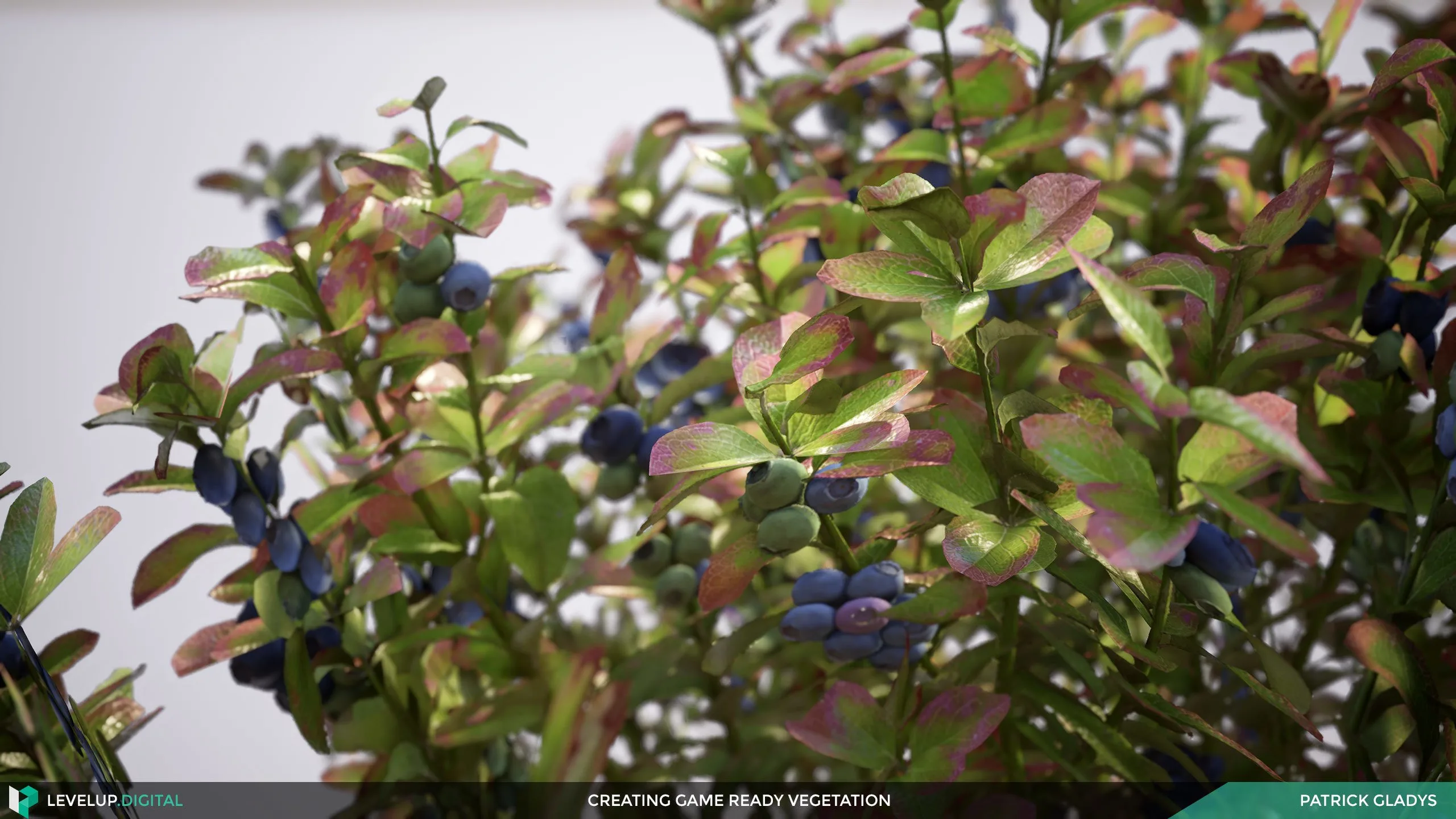 Creating Game-Ready Vegetation | Patrick Gladys