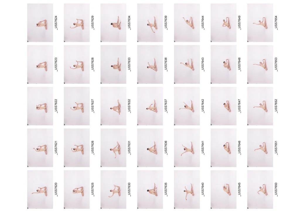 1010+ Female Ballet Reference Images - Draped