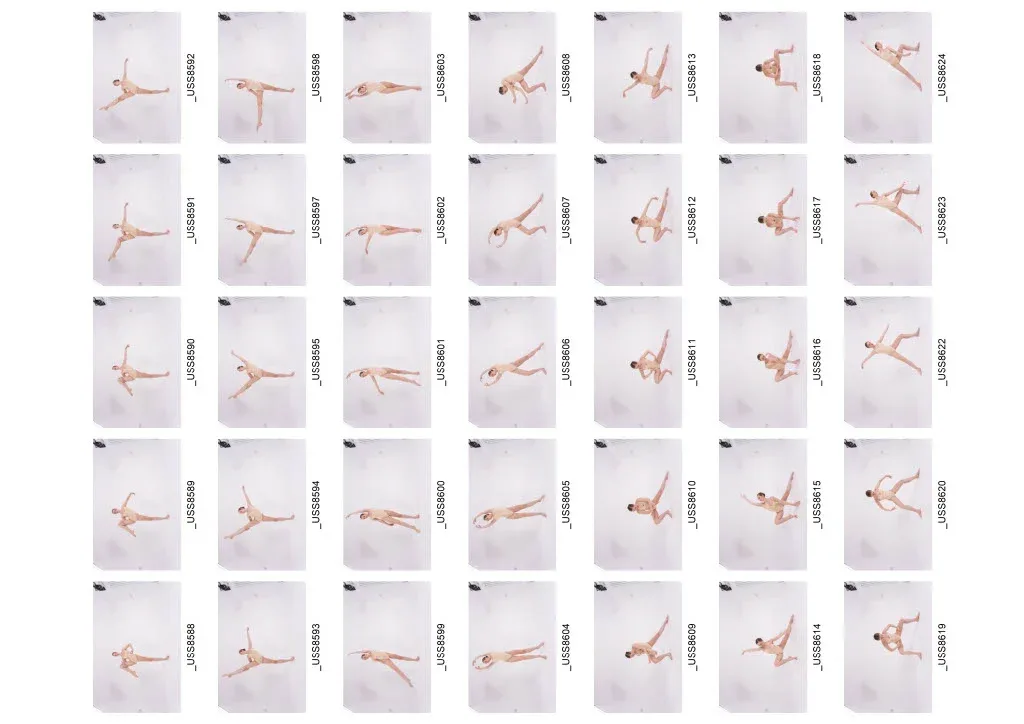 1010+ Female Ballet Reference Images - Draped