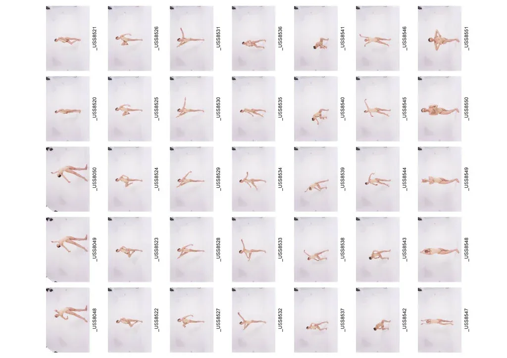 1010+ Female Ballet Reference Images - Draped