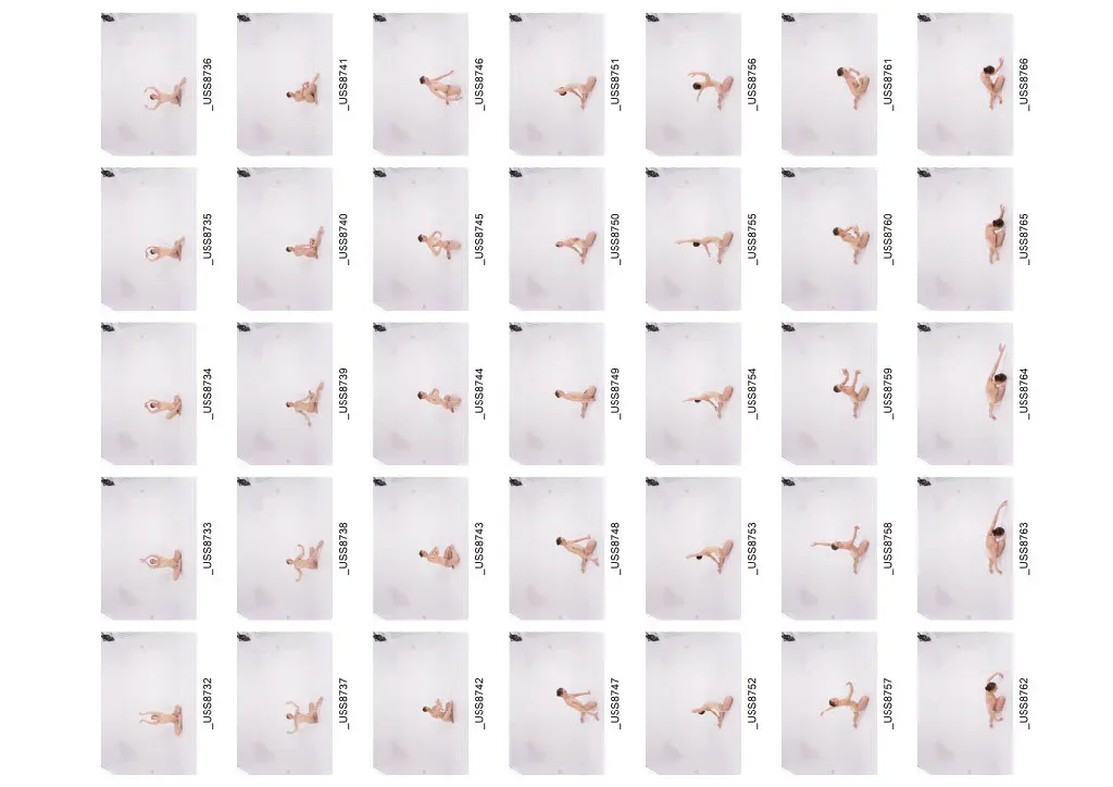 1010+ Female Ballet Reference Images - Draped