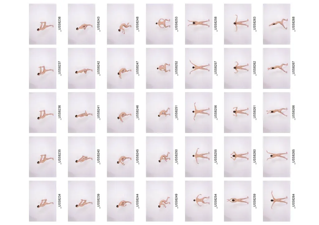 820+ Female Ballet Reference Images - Nude