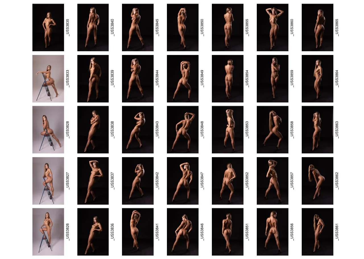 600+ Female Anatomy Reference Images