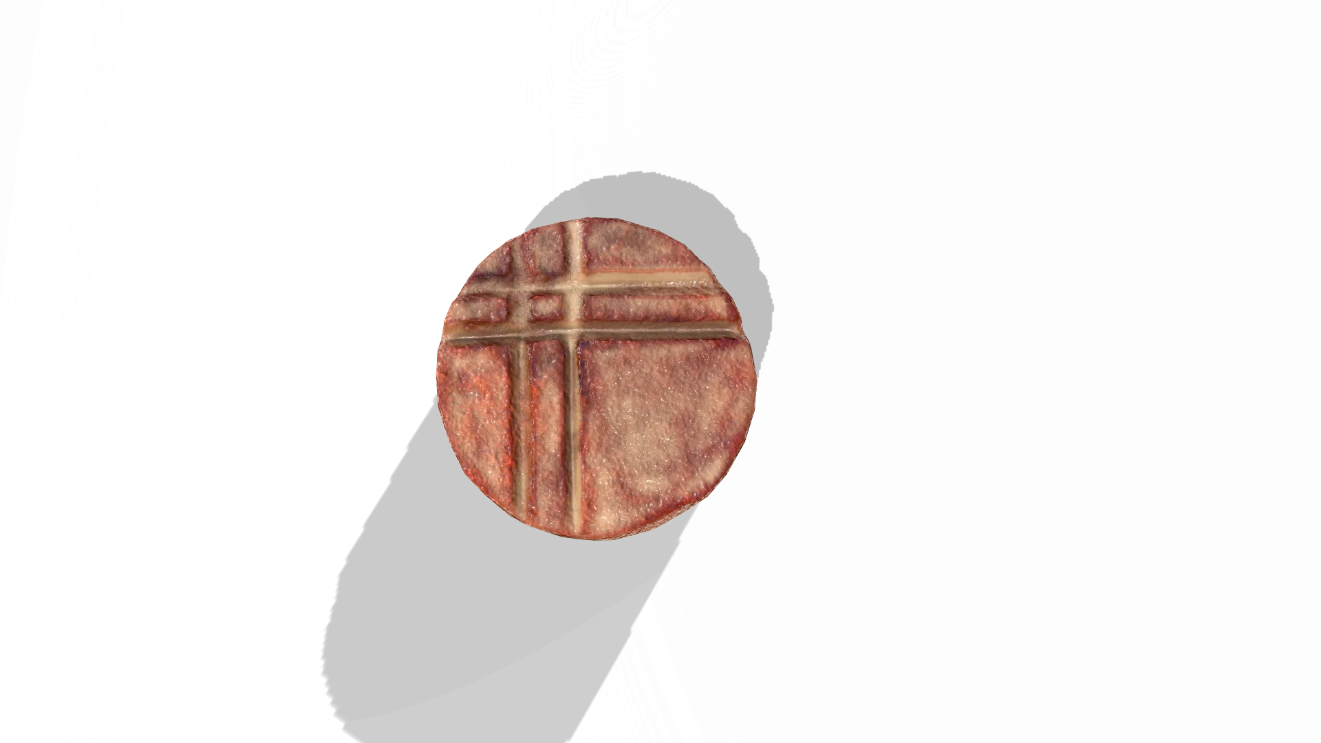 Scallop