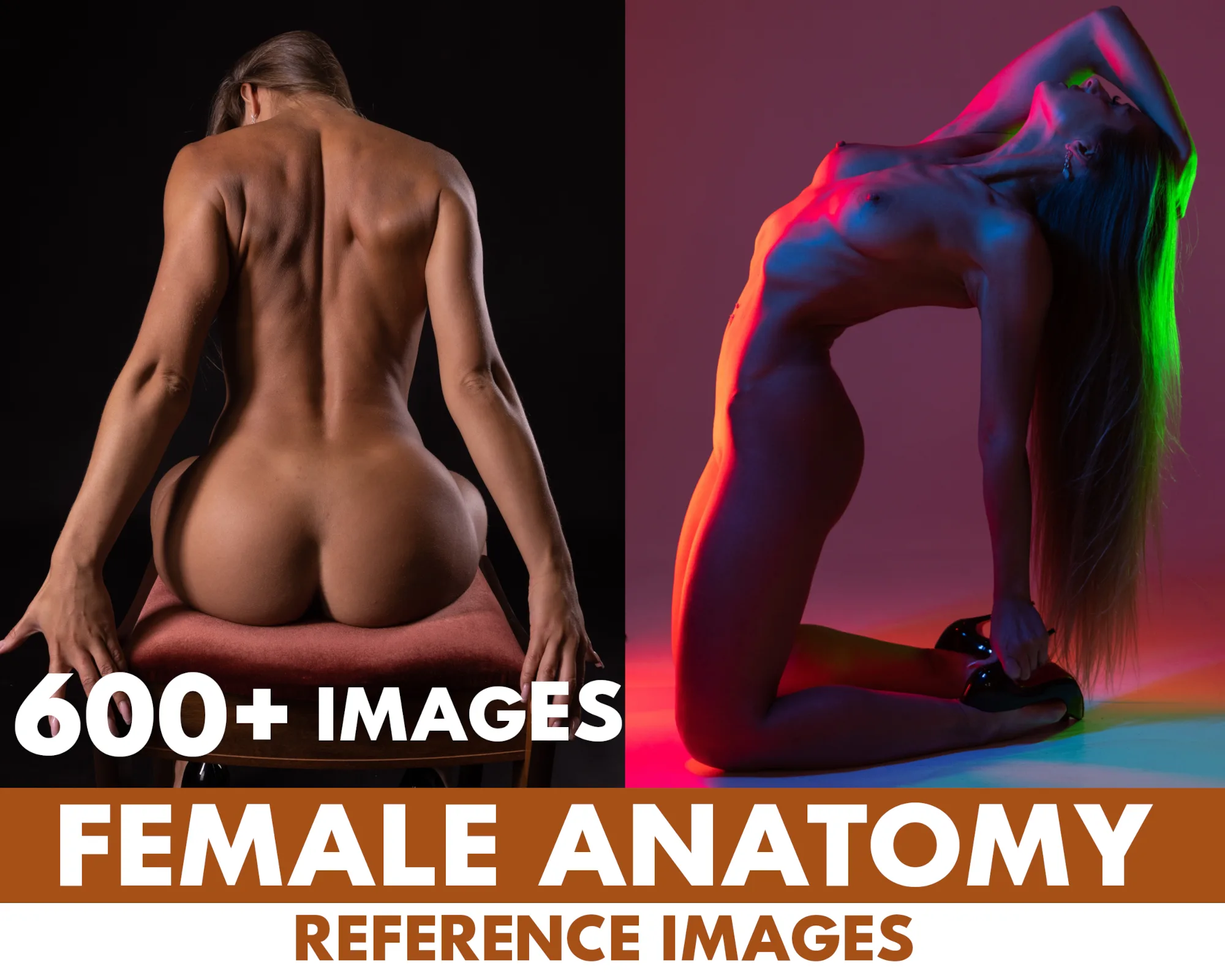 600+ Female Anatomy Reference Images