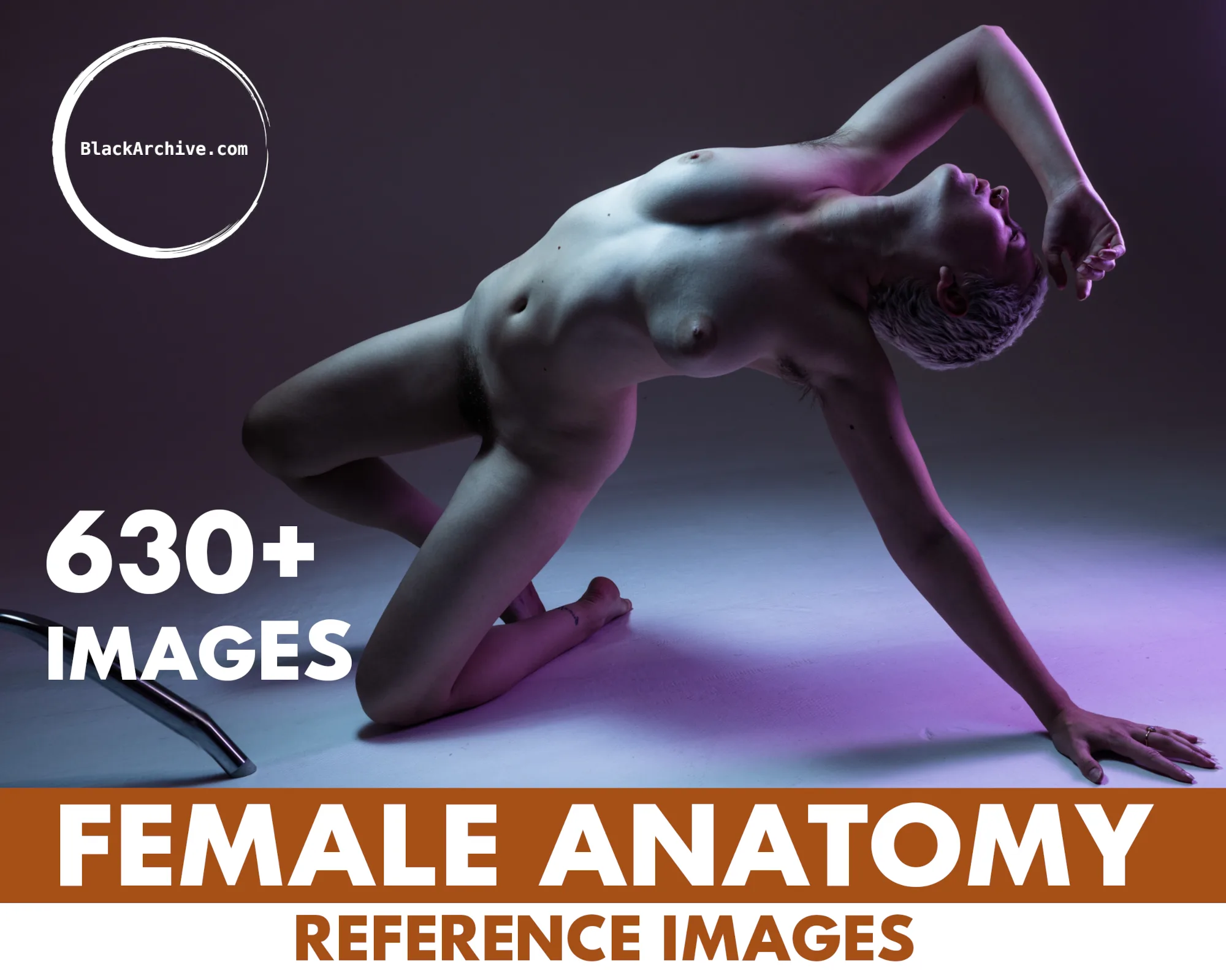 630+ Female Anatomy Reference Images