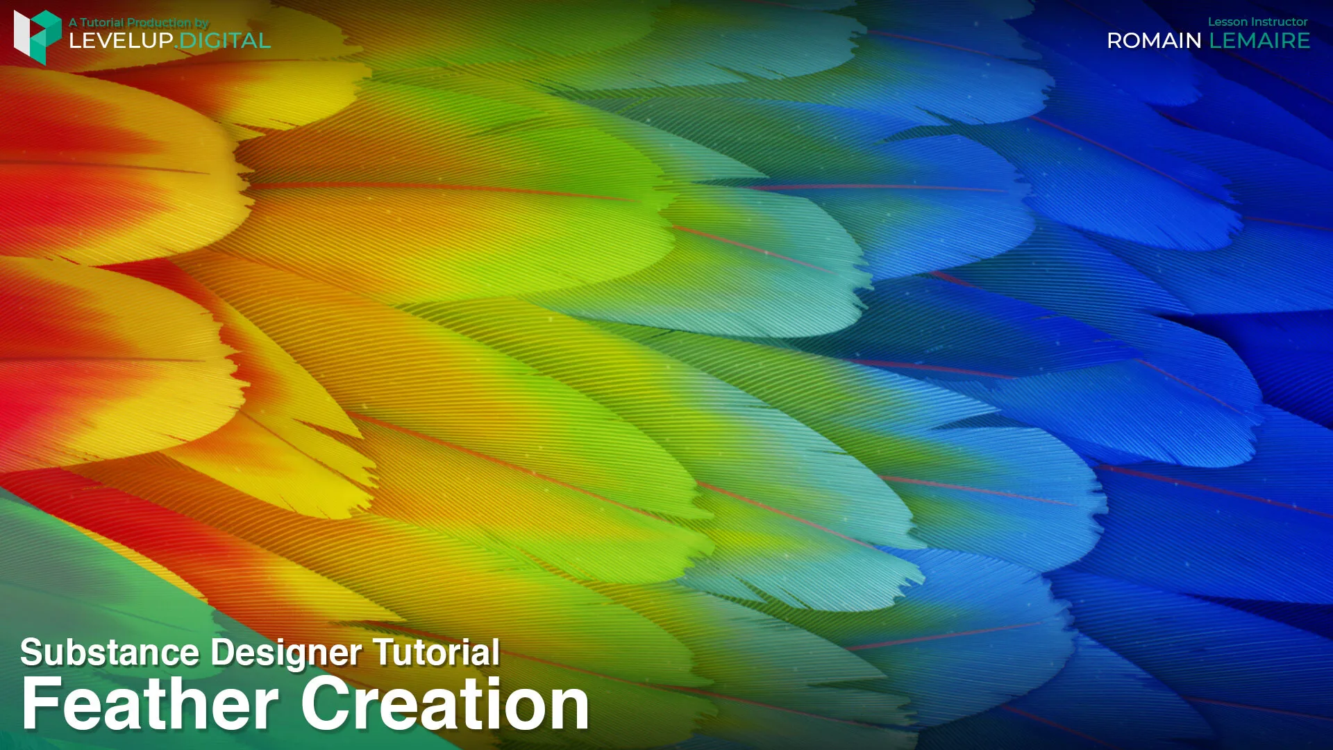 Feather Creation | Romain Lemaire