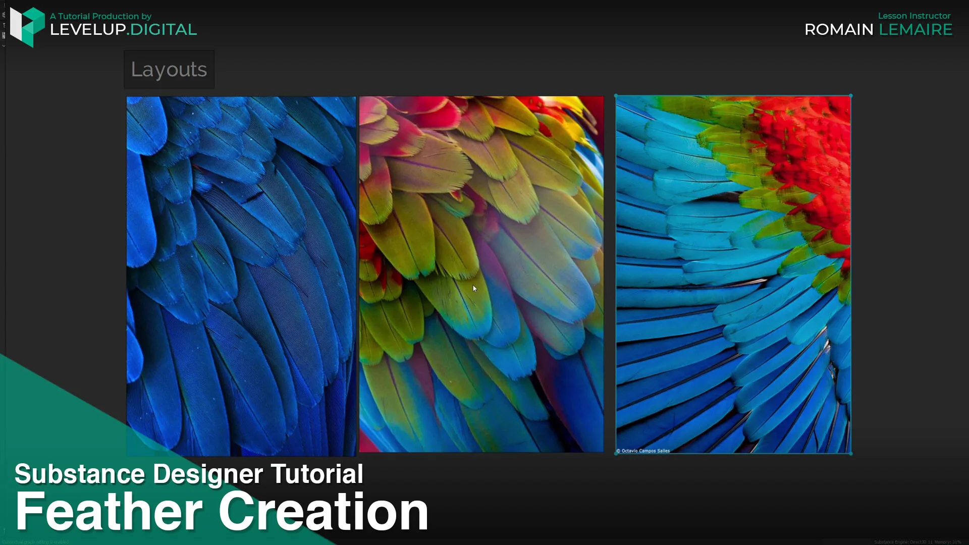 Feather Creation | Romain Lemaire