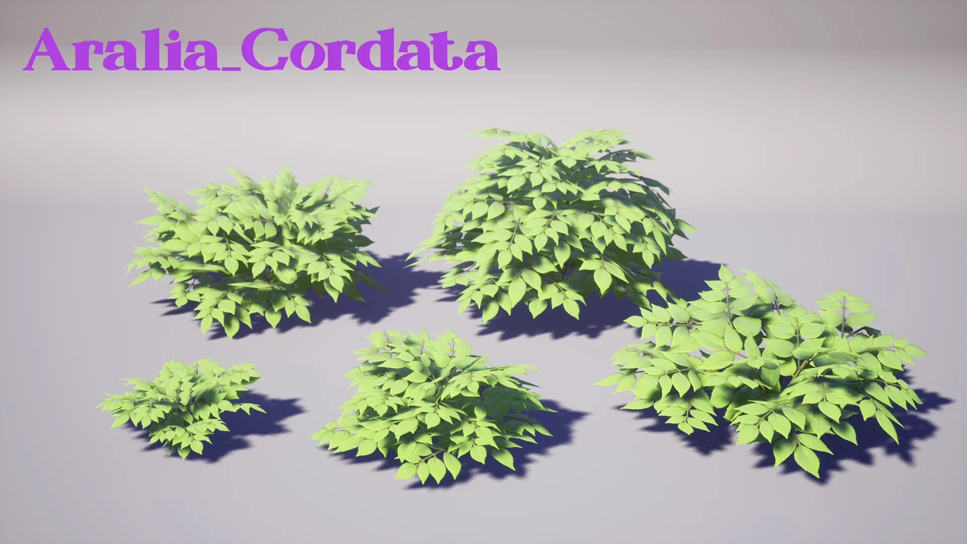 Garden Foliage Pack