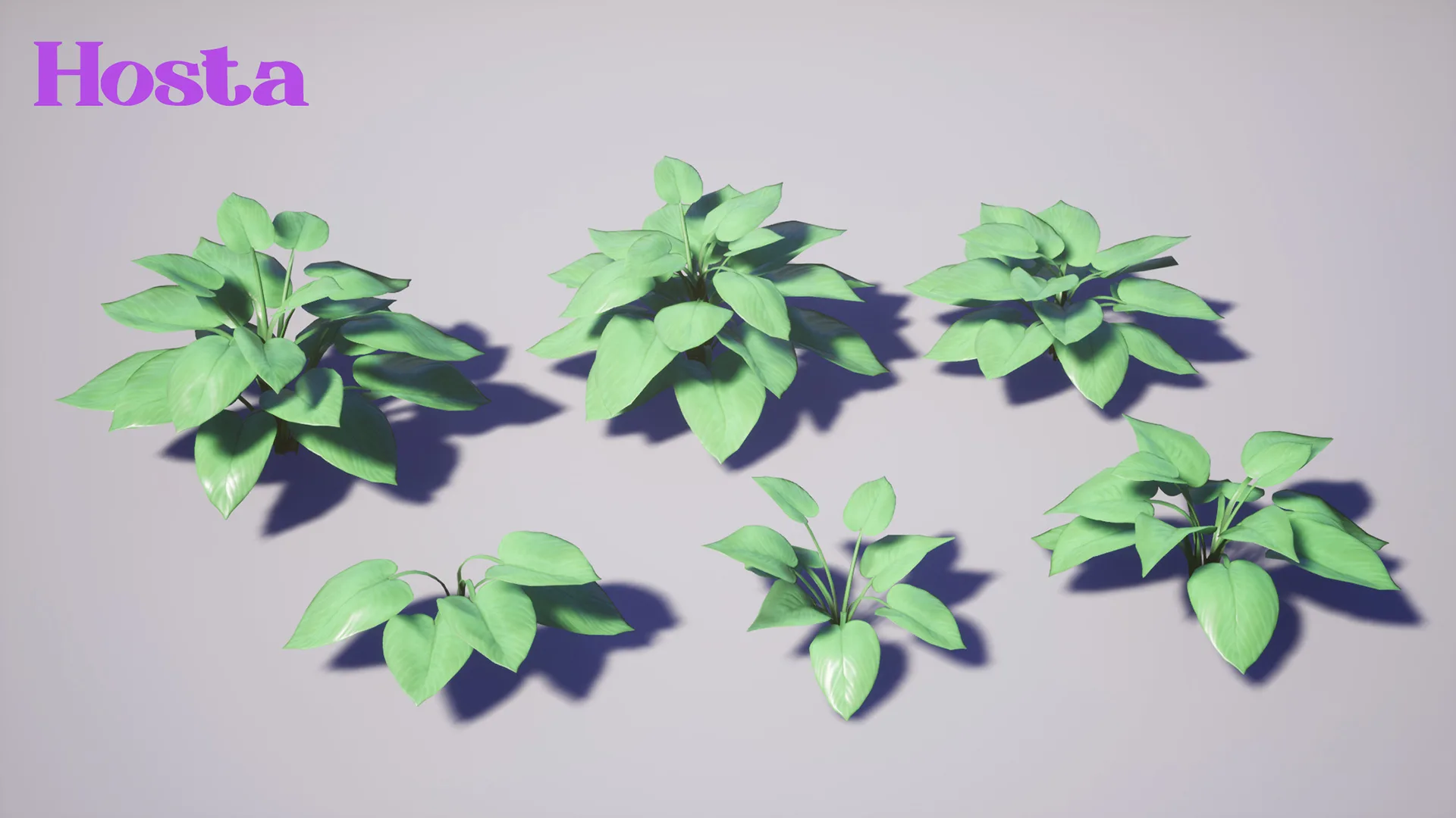 Garden Foliage Pack