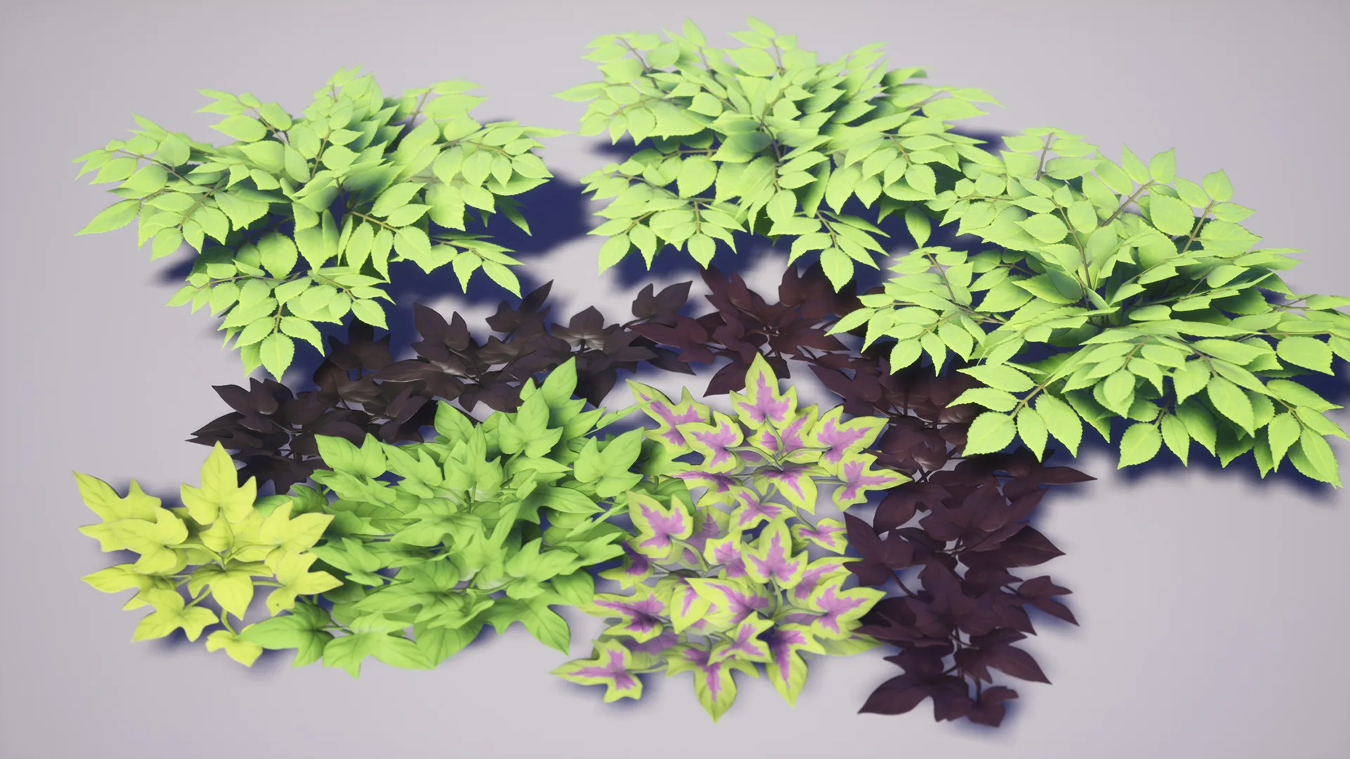 Garden Foliage Pack