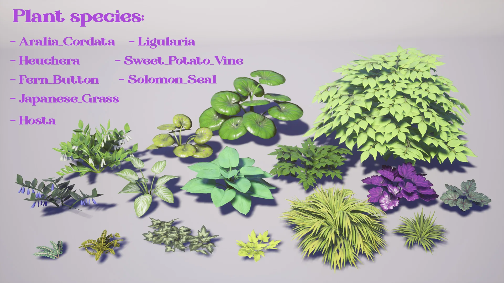 Garden Foliage Pack