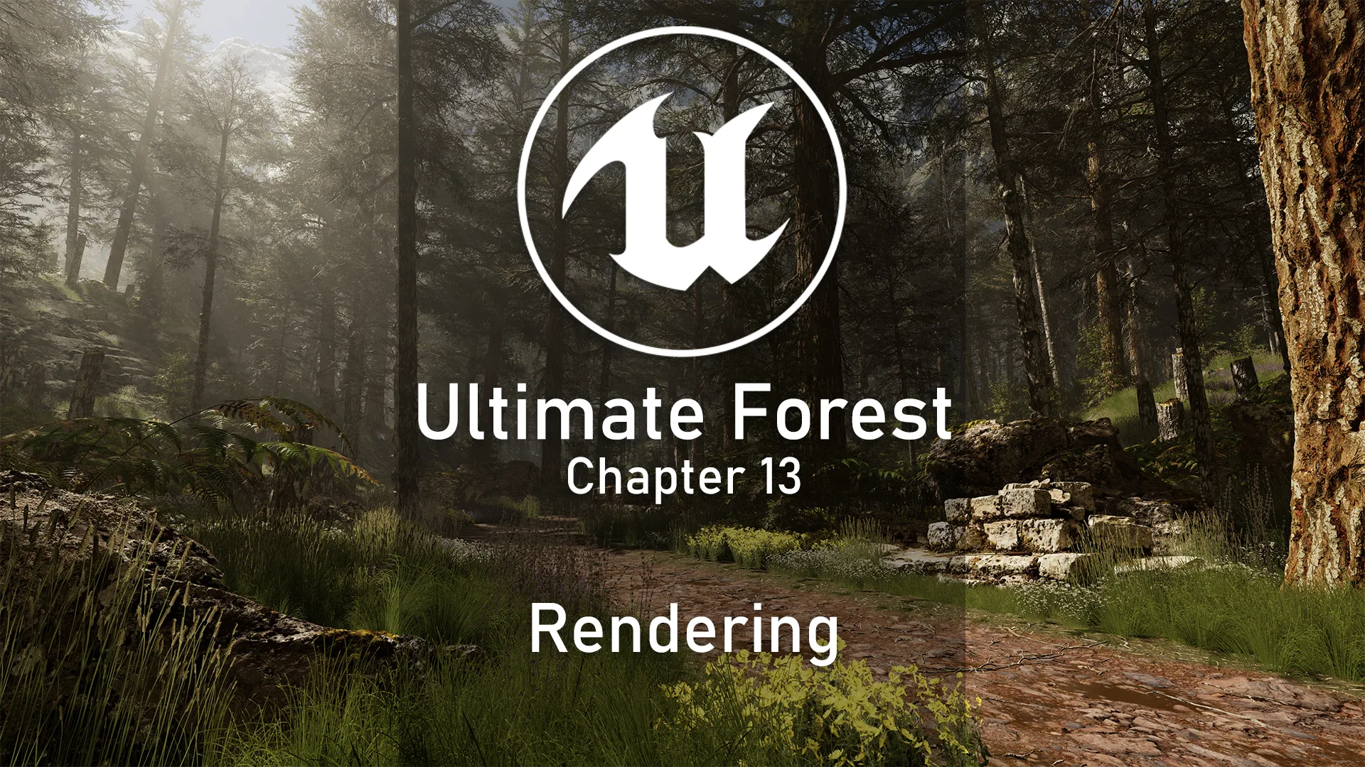 Unreal Complete Scene - Forest Environment