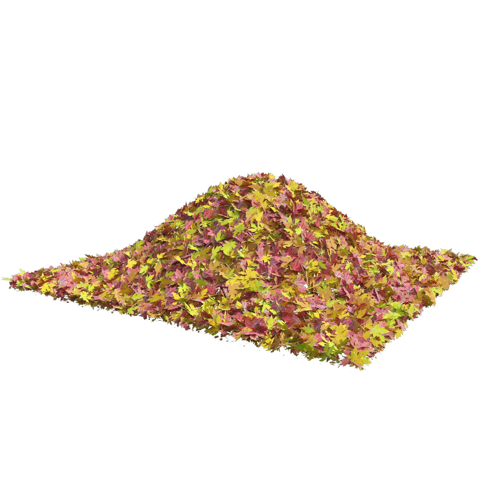 Mountain Maple Leafpile