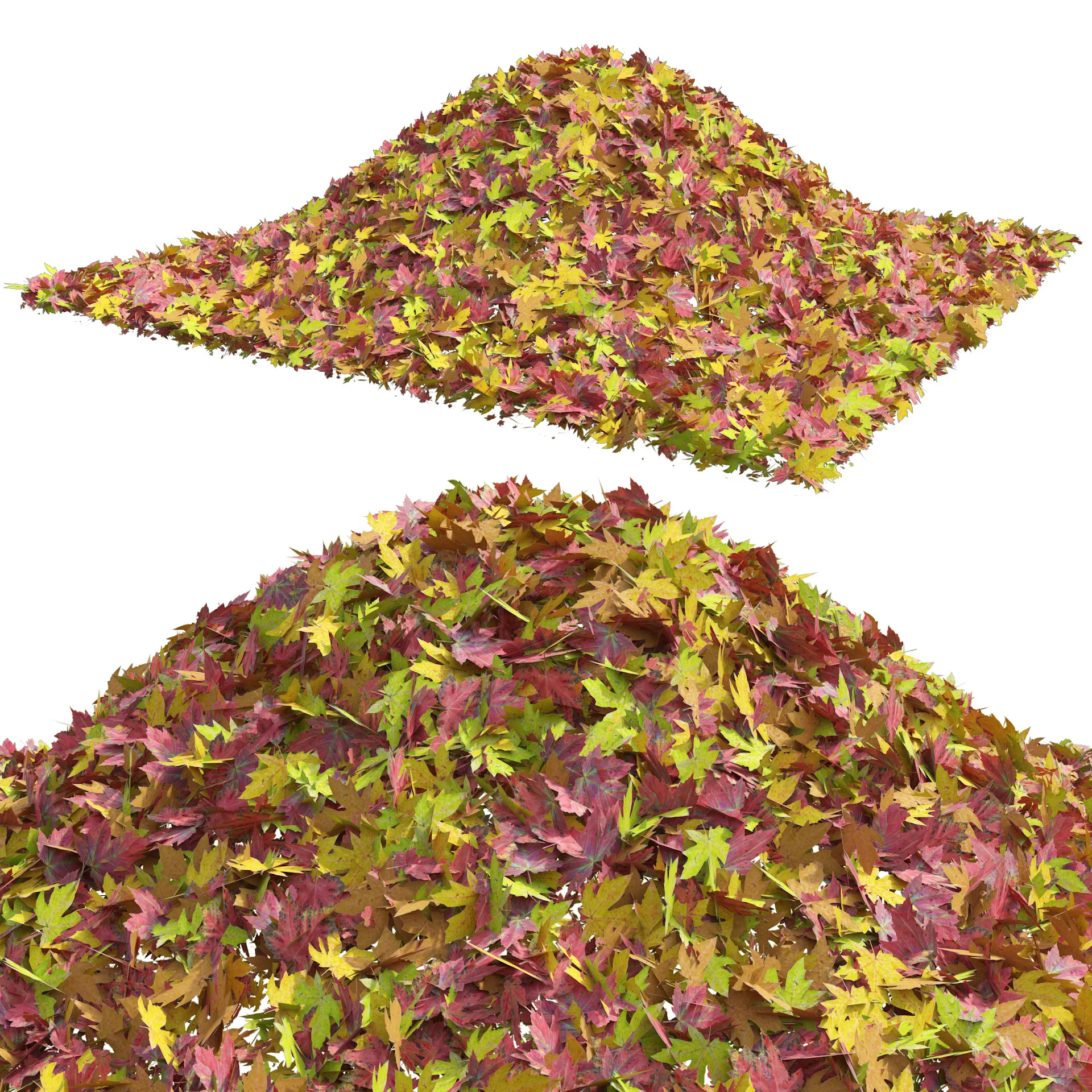 Mountain Maple Leafpile