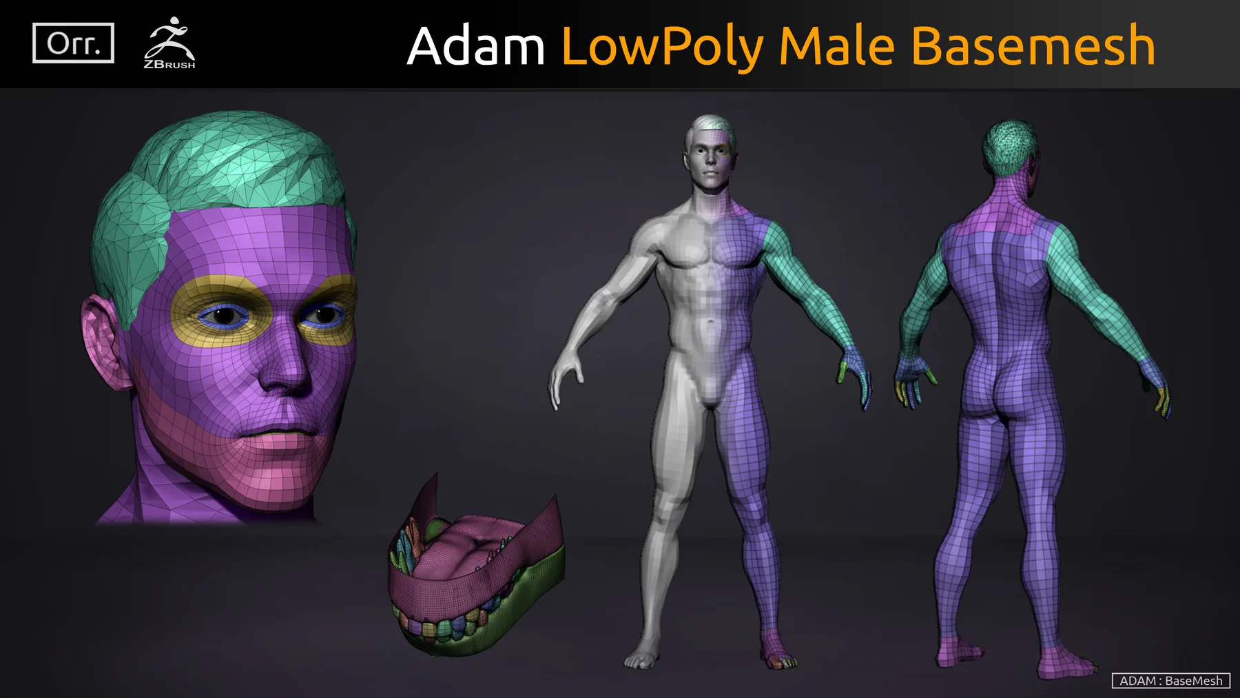 Male BaseMesh - LowPoly