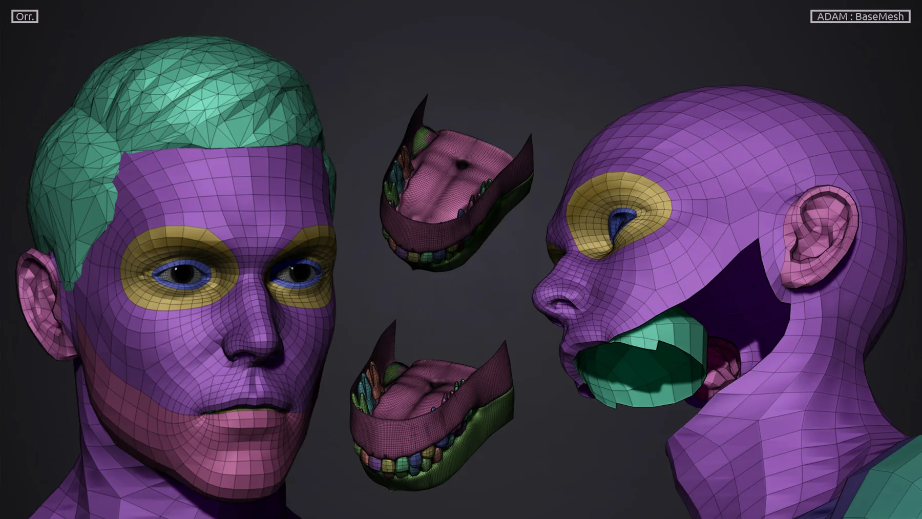 Male BaseMesh - LowPoly