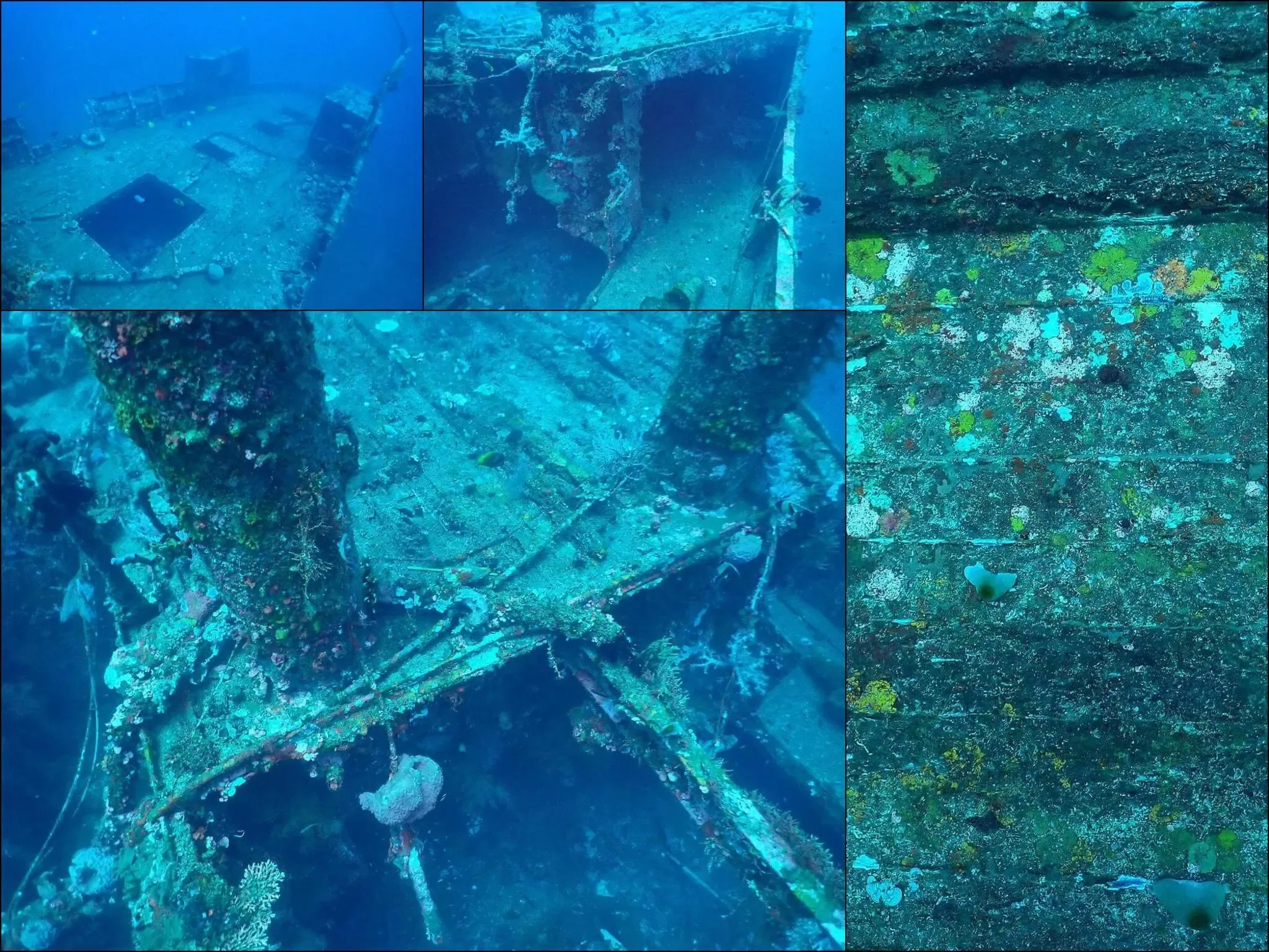 119 photos of Deep Water Boat Wreck