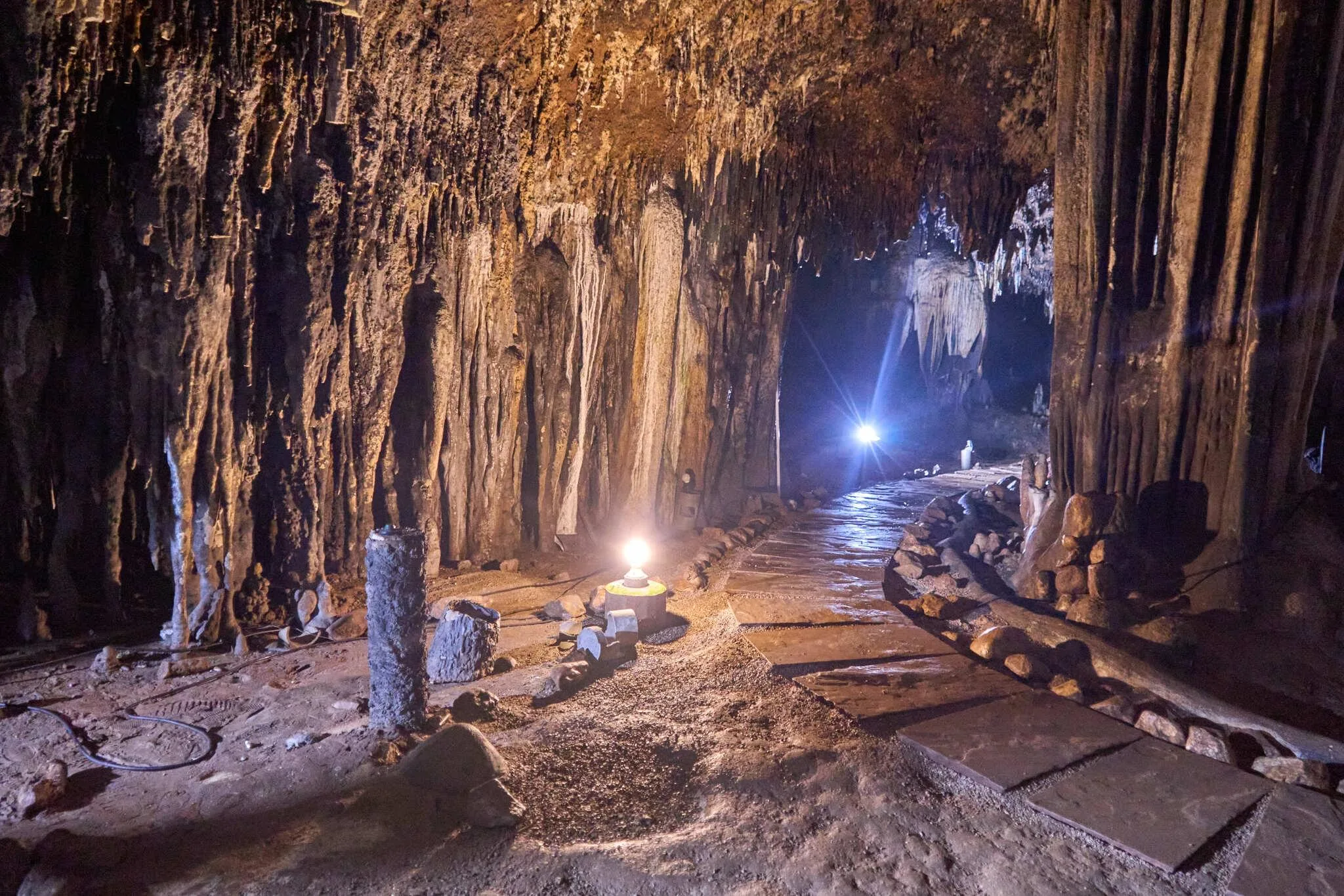 231 photos of Hot Humid Cave Environment