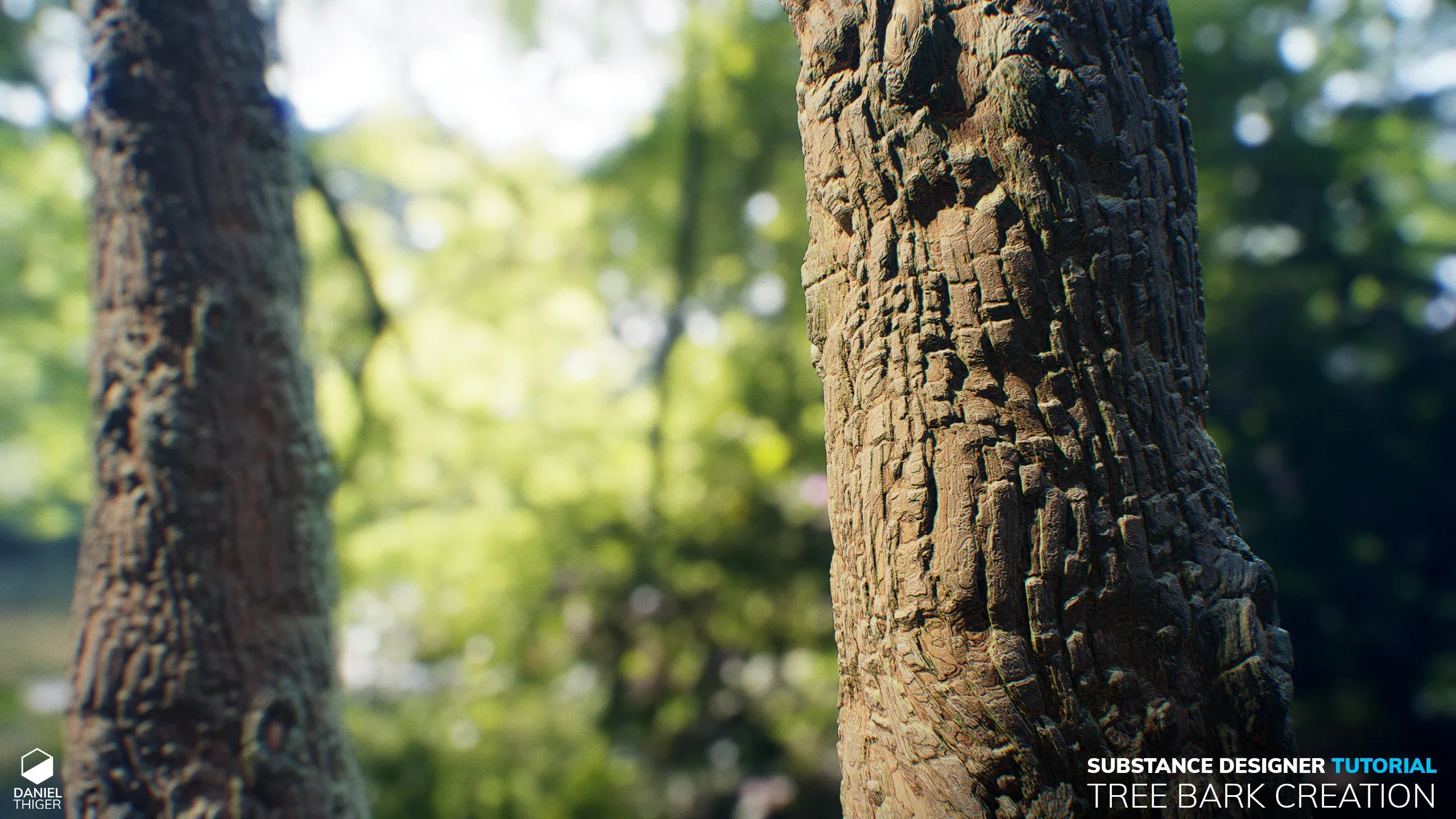 Tutorial | Tree Bark Creation