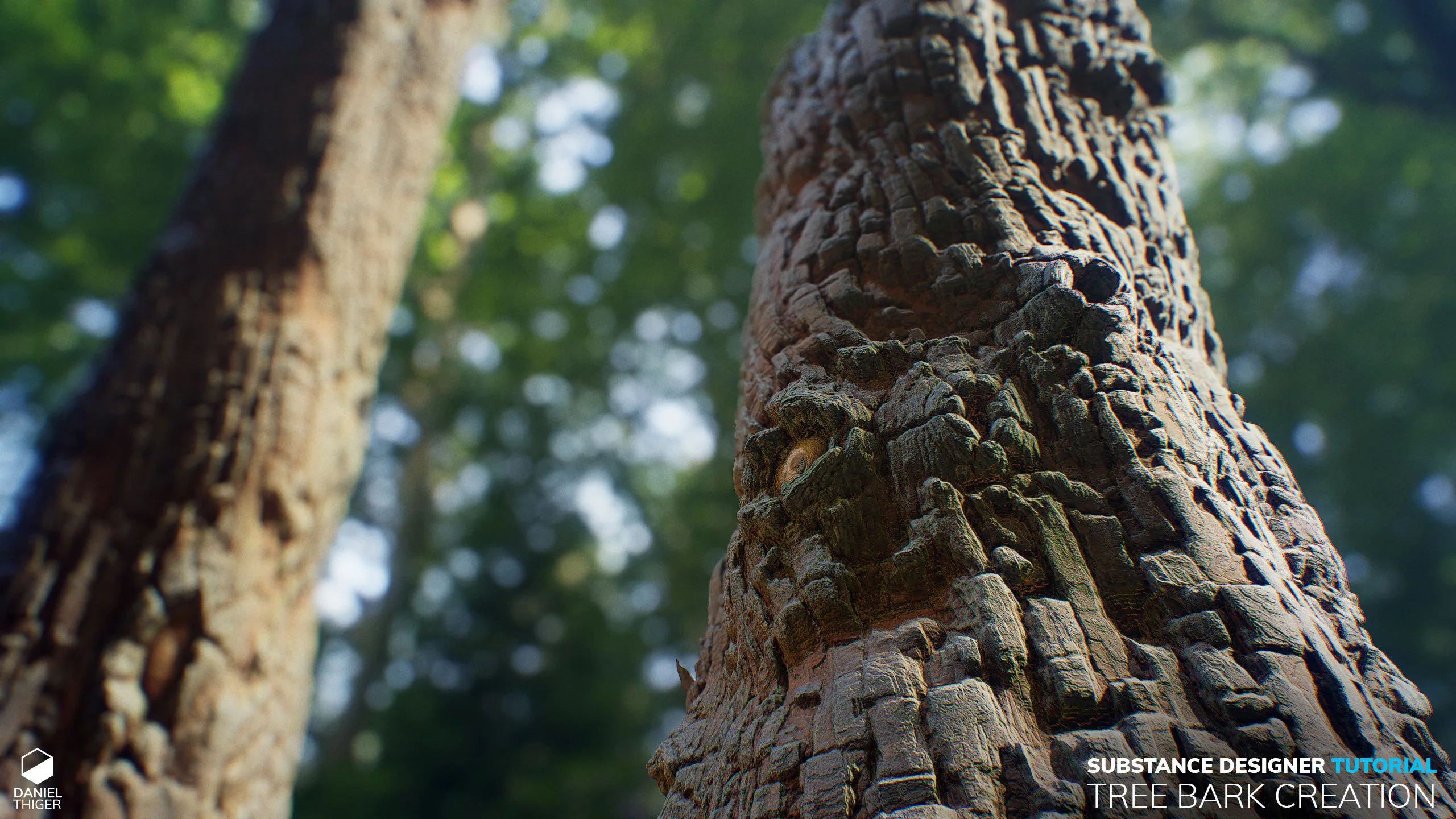 Tutorial | Tree Bark Creation