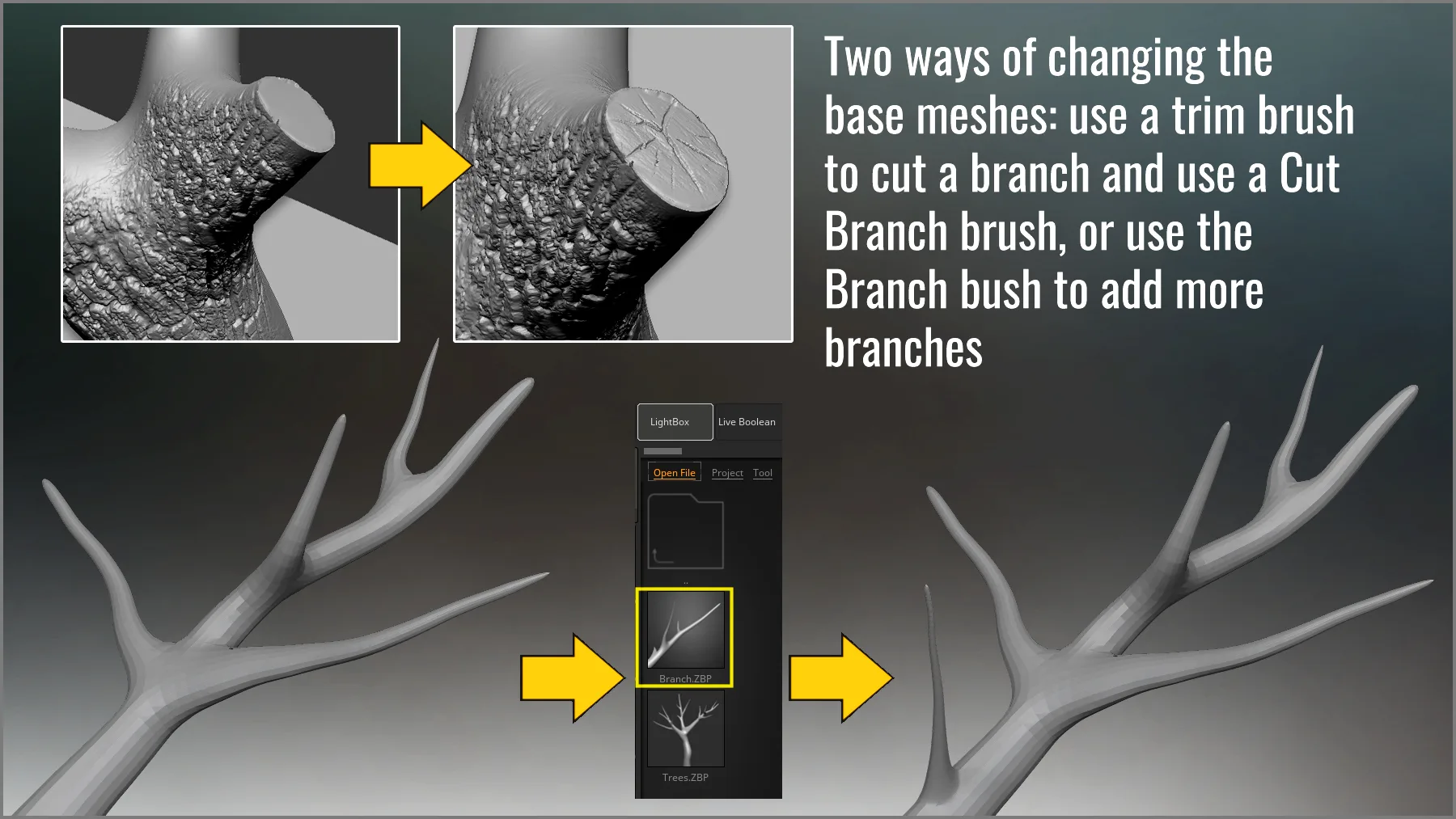 Tree Maker: 117 ZBrush Brushes, 50 Alphas & 8 Tree Basemeshes