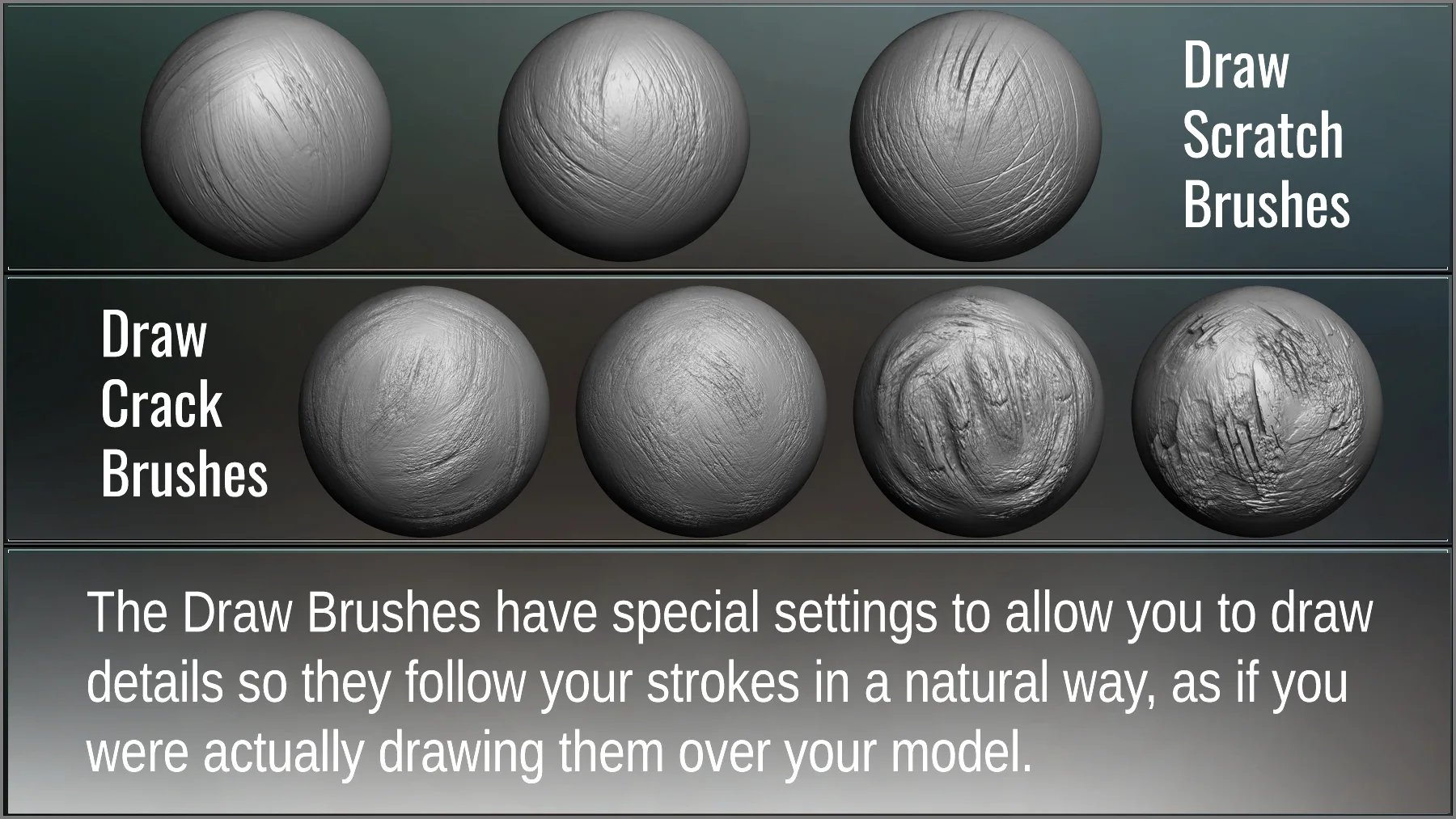 Tree Maker: 117 ZBrush Brushes, 50 Alphas & 8 Tree Basemeshes