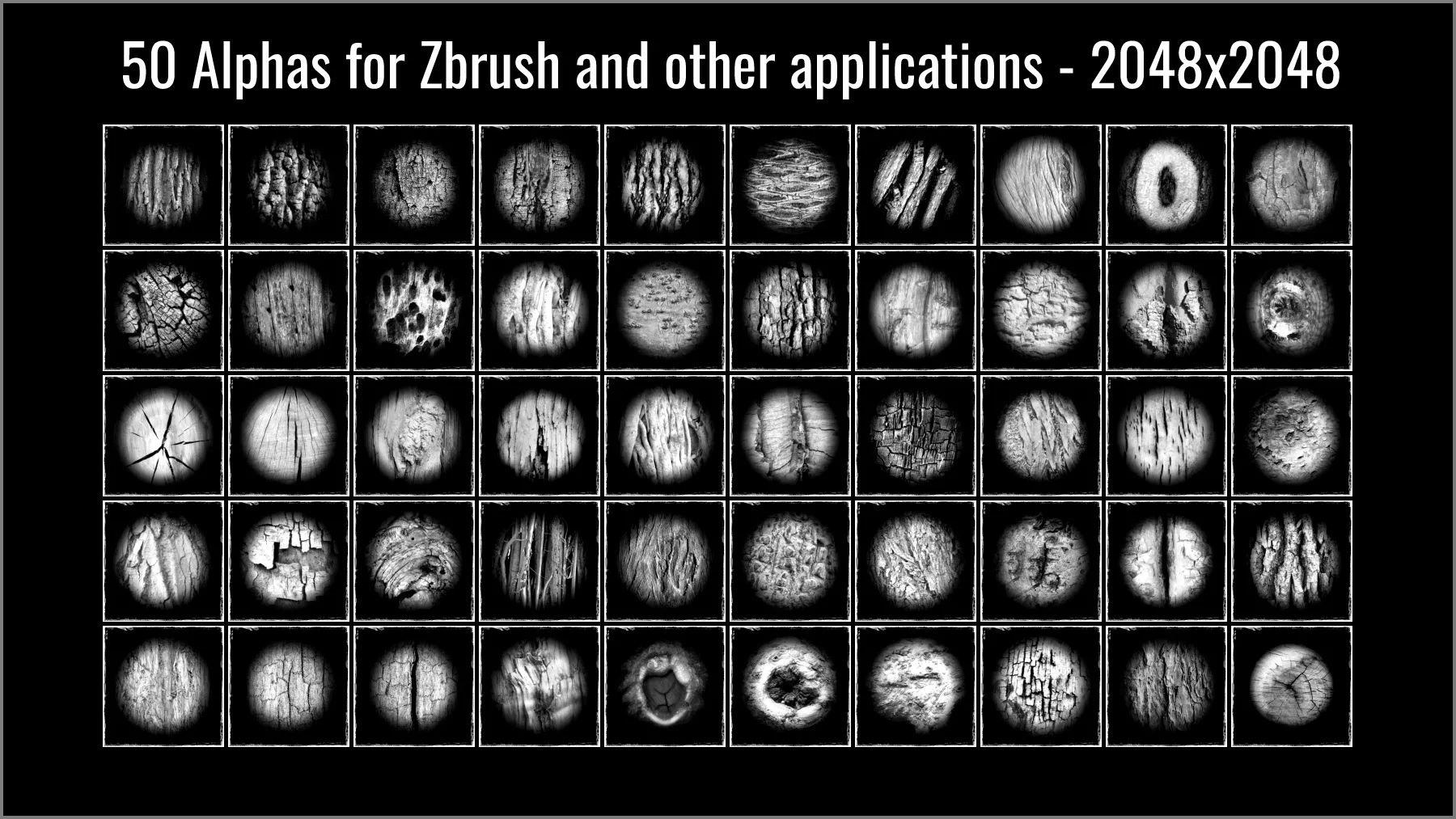 Tree Maker: 117 ZBrush Brushes, 50 Alphas & 8 Tree Basemeshes