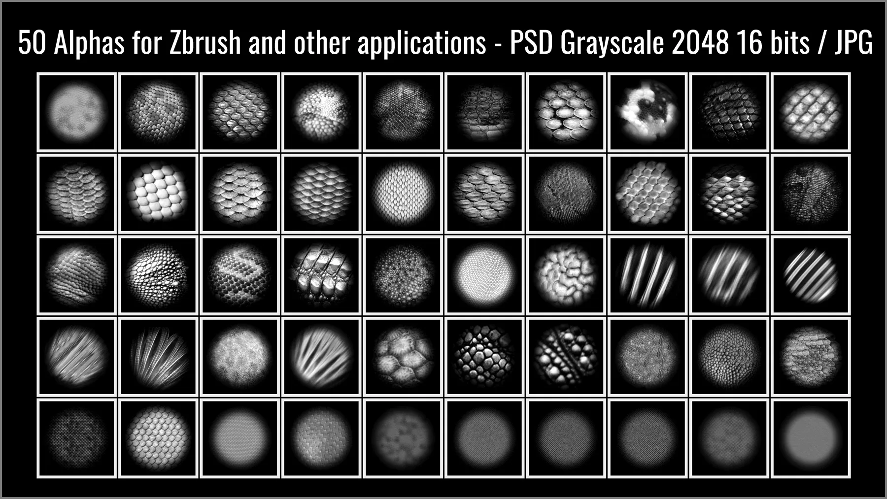 Scales Maker: 250 ZBrush Brushes, 50 Alphas, and 10 Surface Patterns