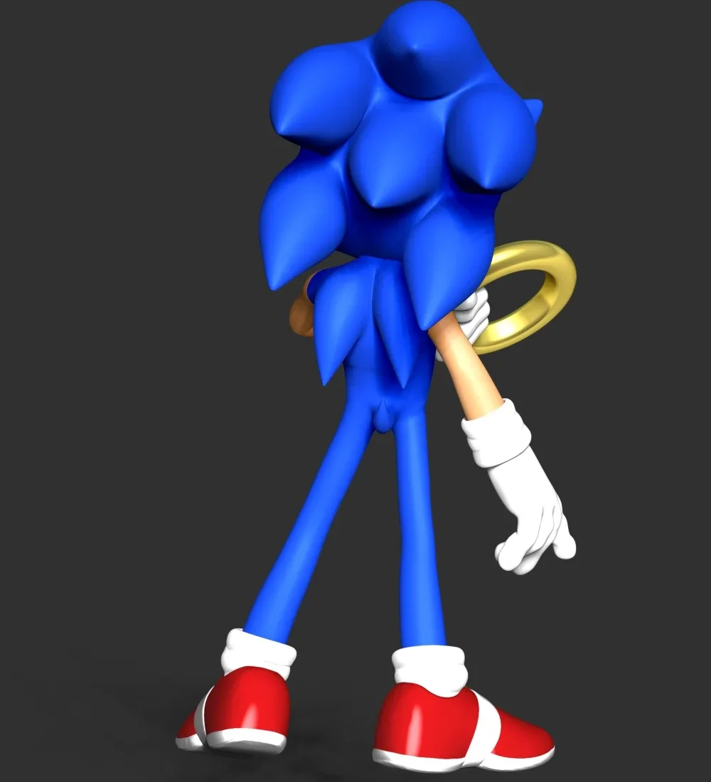 The Sonic Fanart