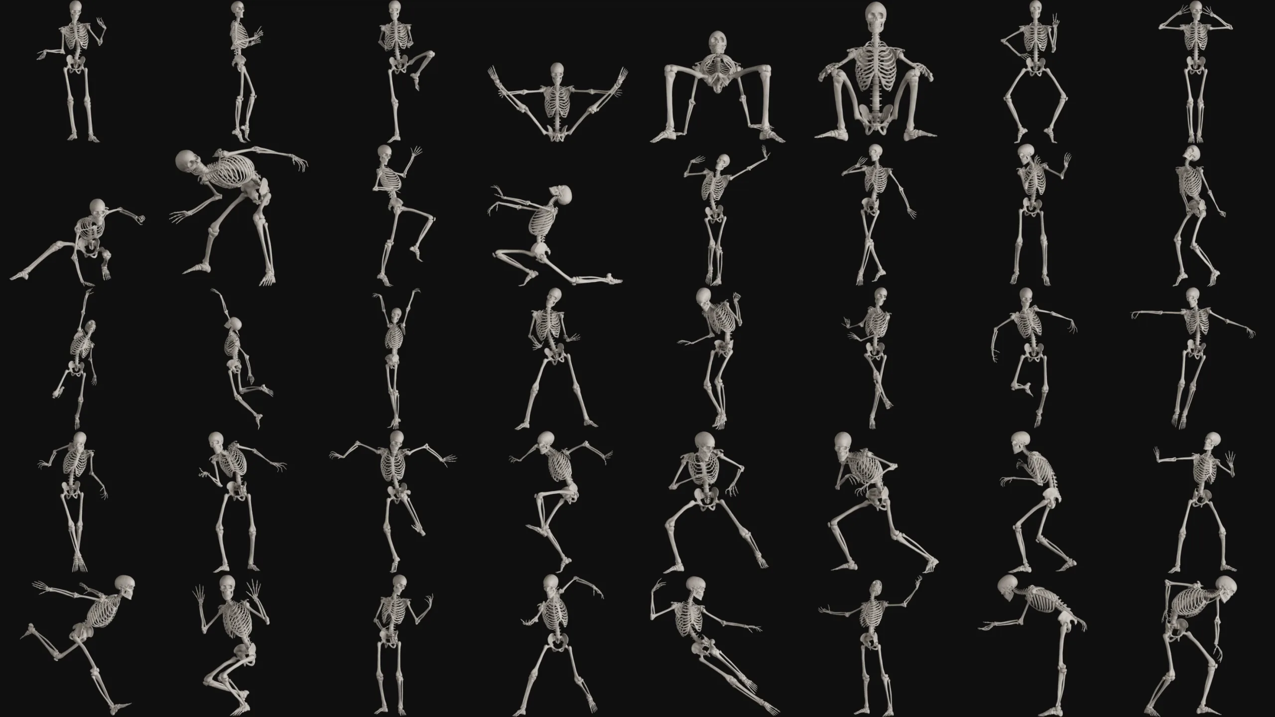 500+Skeleton Reference Images