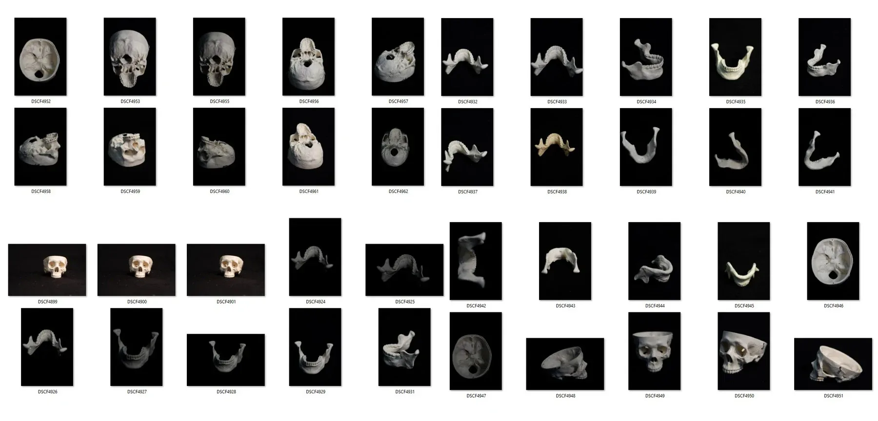 Human skull - Reference Pack