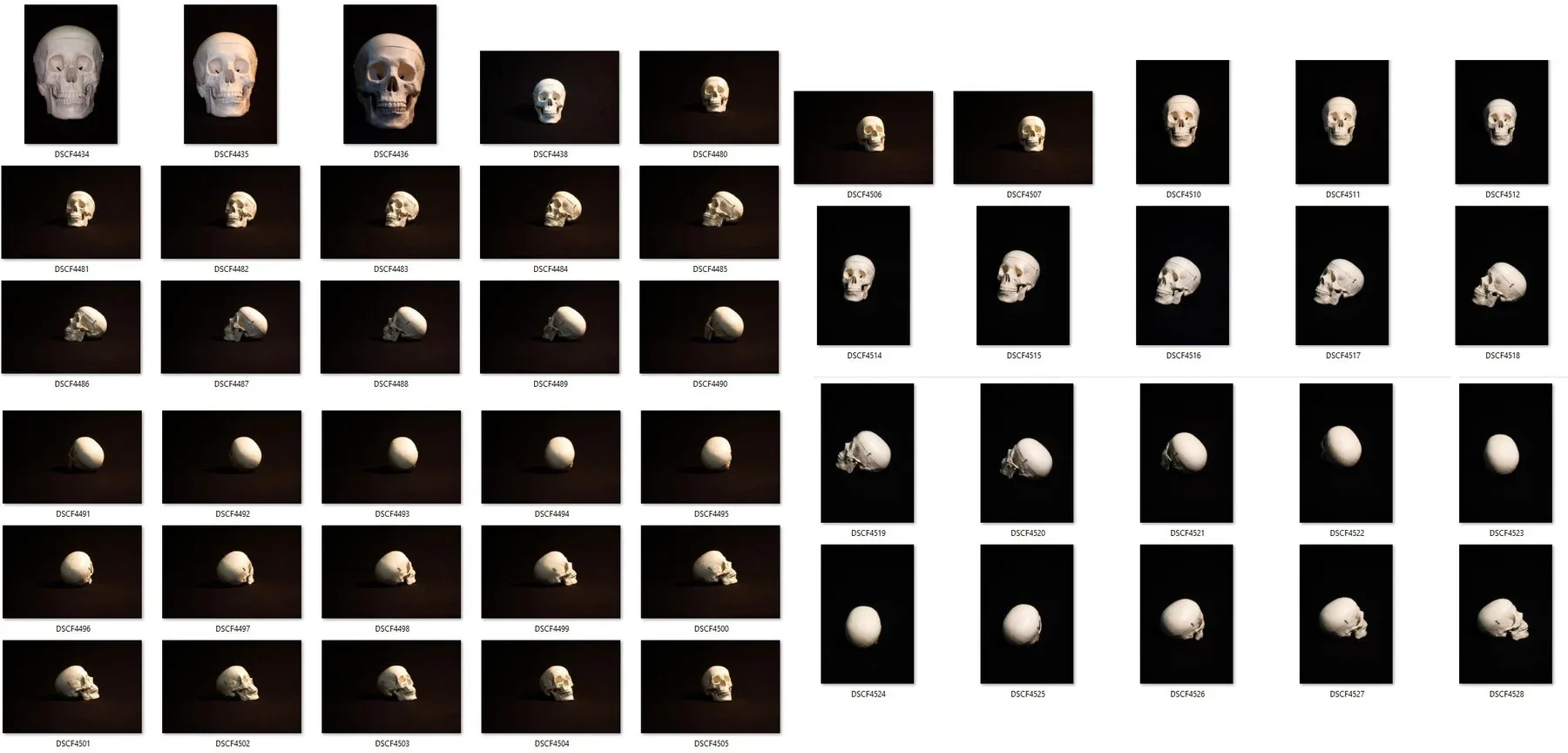 Human skull - Reference Pack