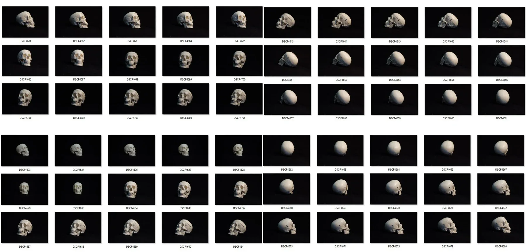 Human skull - Reference Pack