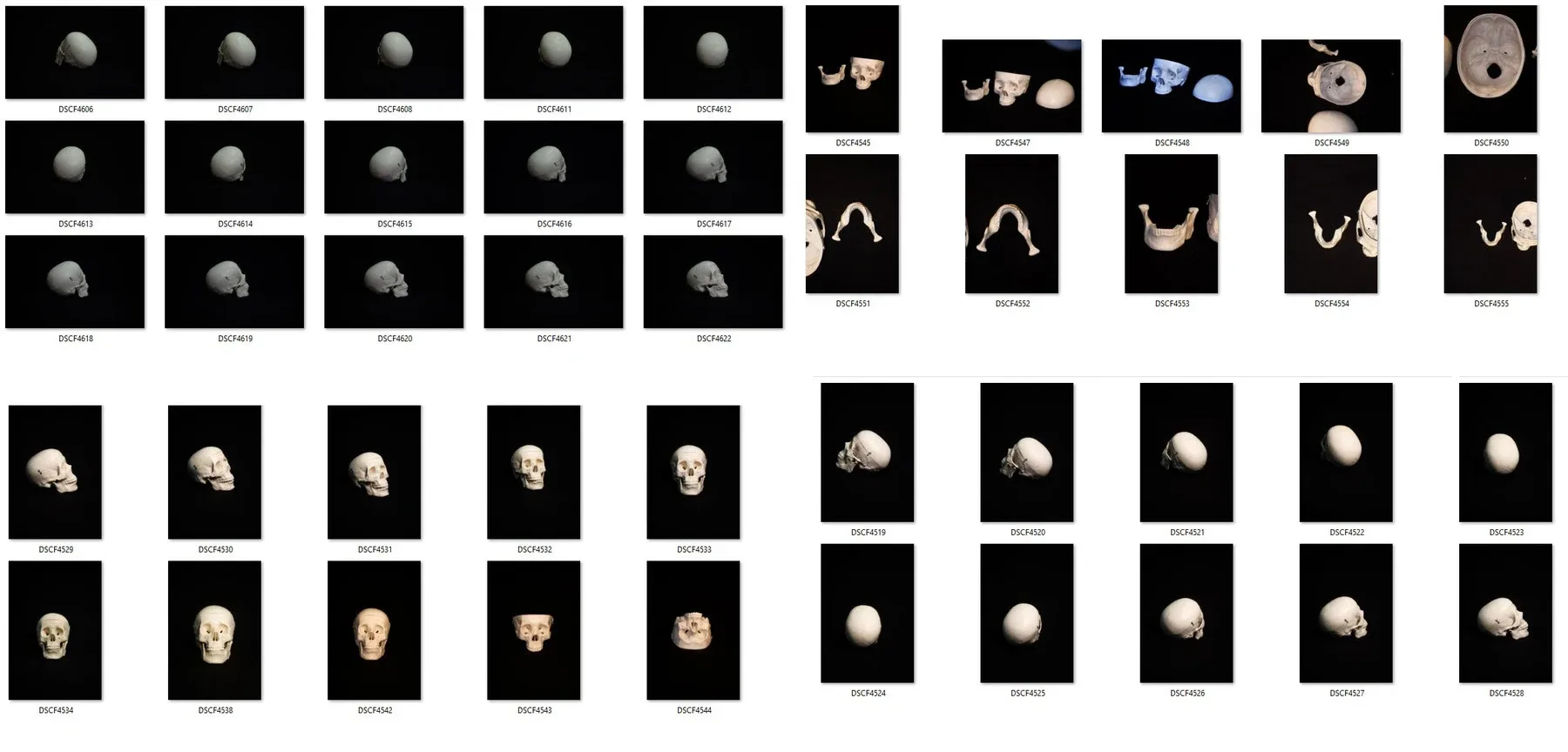 Human skull - Reference Pack