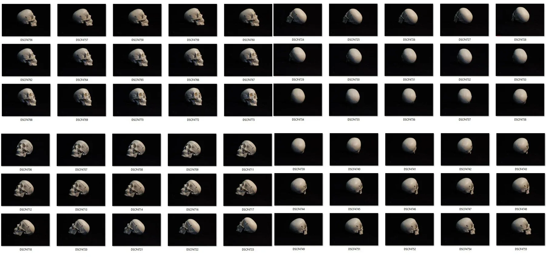 Human skull - Reference Pack