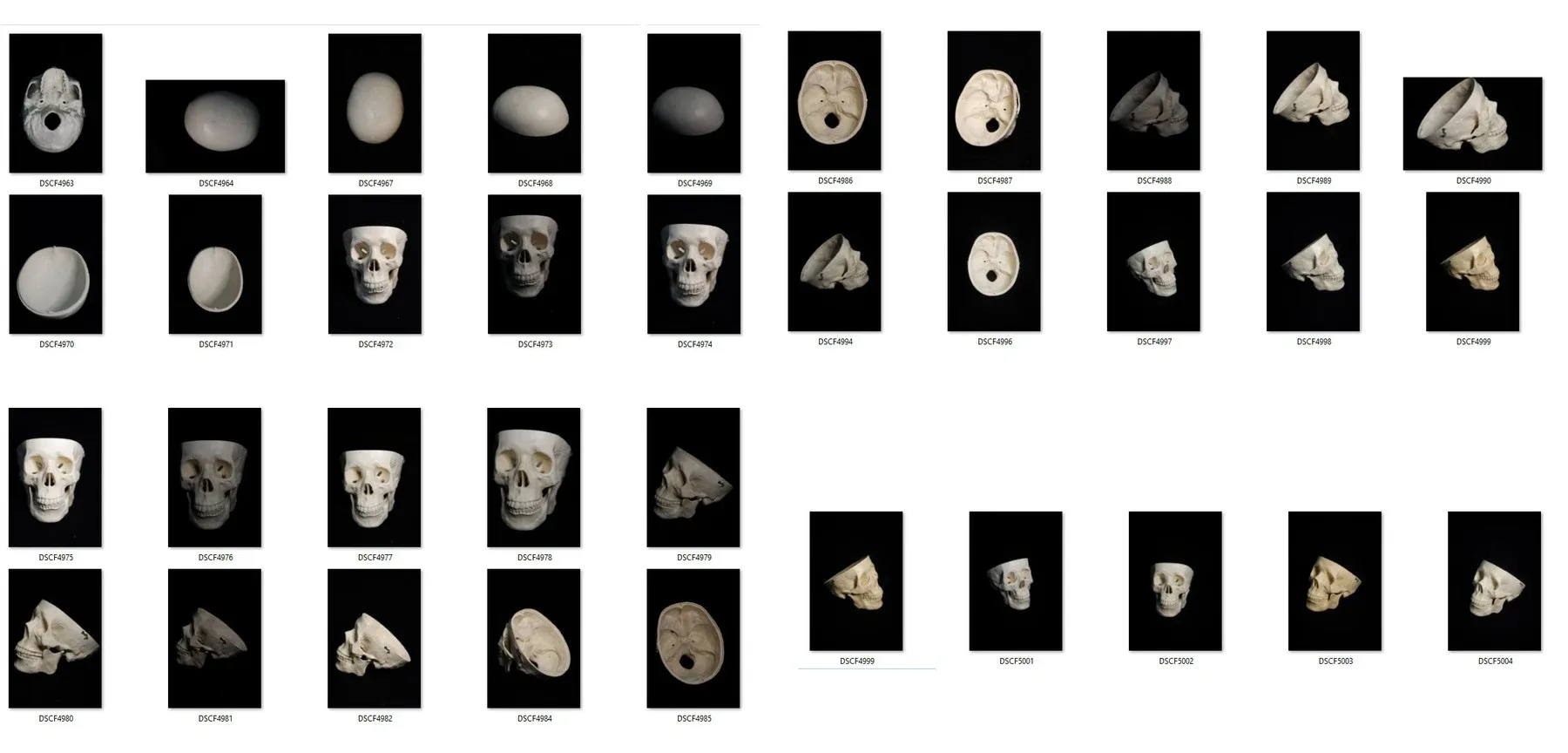 Human skull - Reference Pack