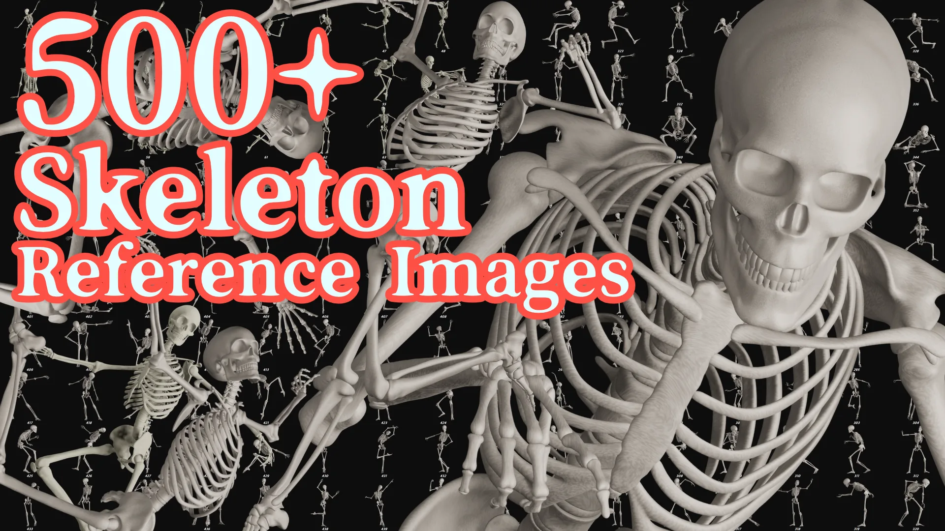 500+Skeleton Reference Images