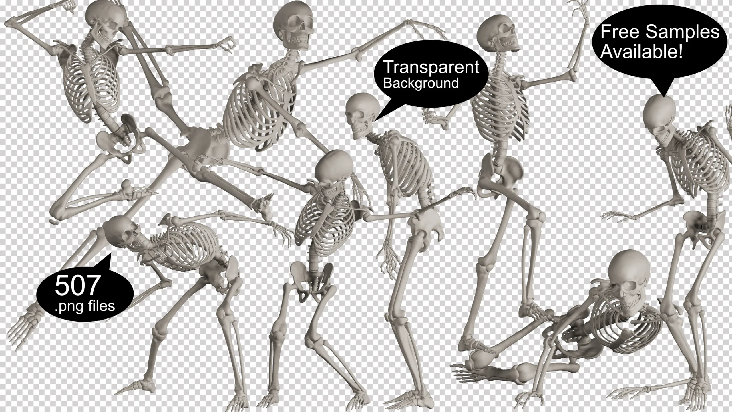 500+Skeleton Reference Images