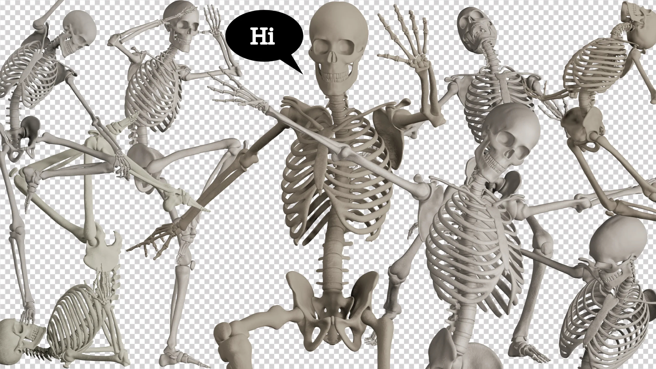 500+Skeleton Reference Images